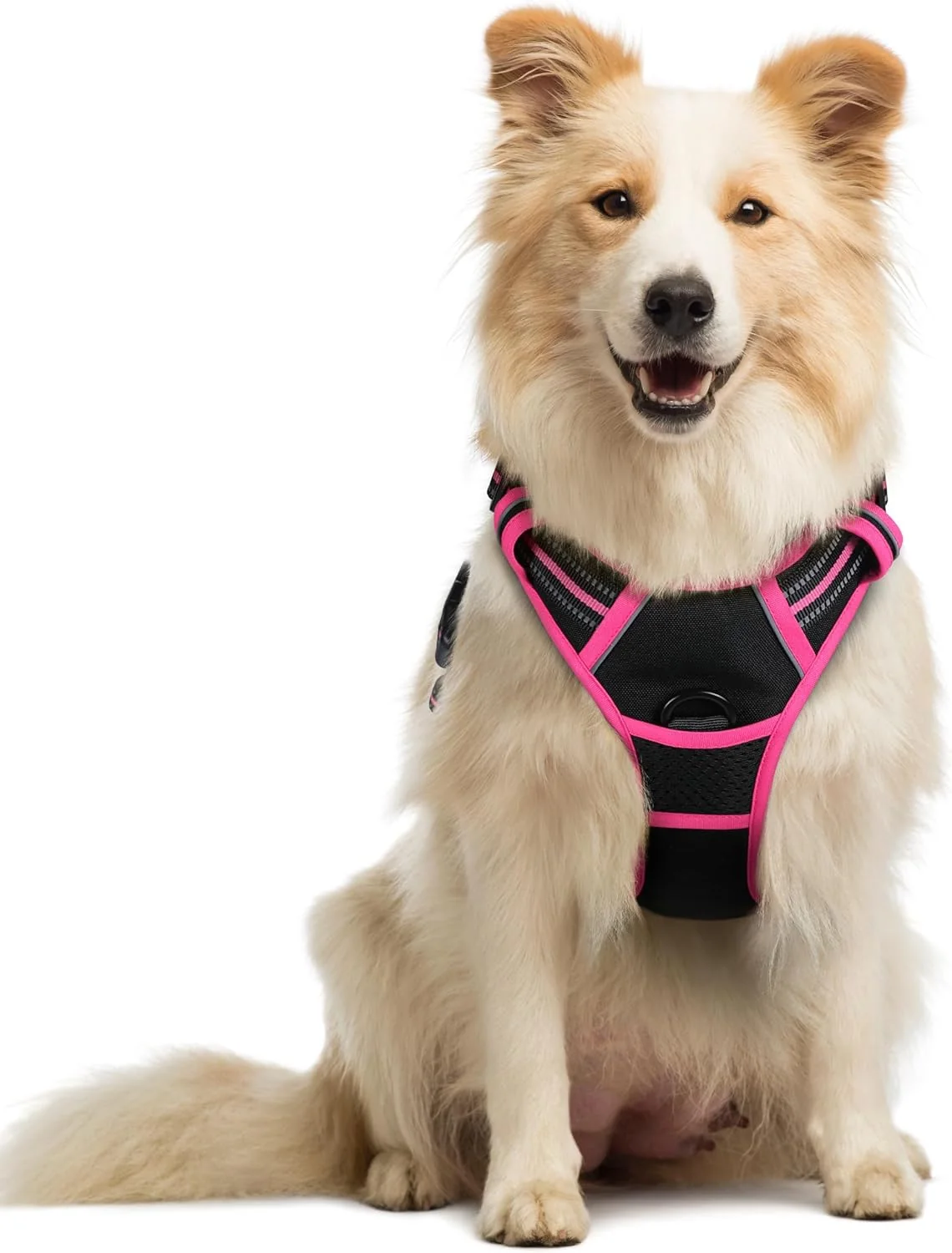 Selected rabbitgoo Dog Harness No Pull with 2 Leash Clips Adjustable Soft Padded Reflective Oxford No Choke Pet Vest with Easy Control Handle for Large Dogs Black Hot Pink M Flexible