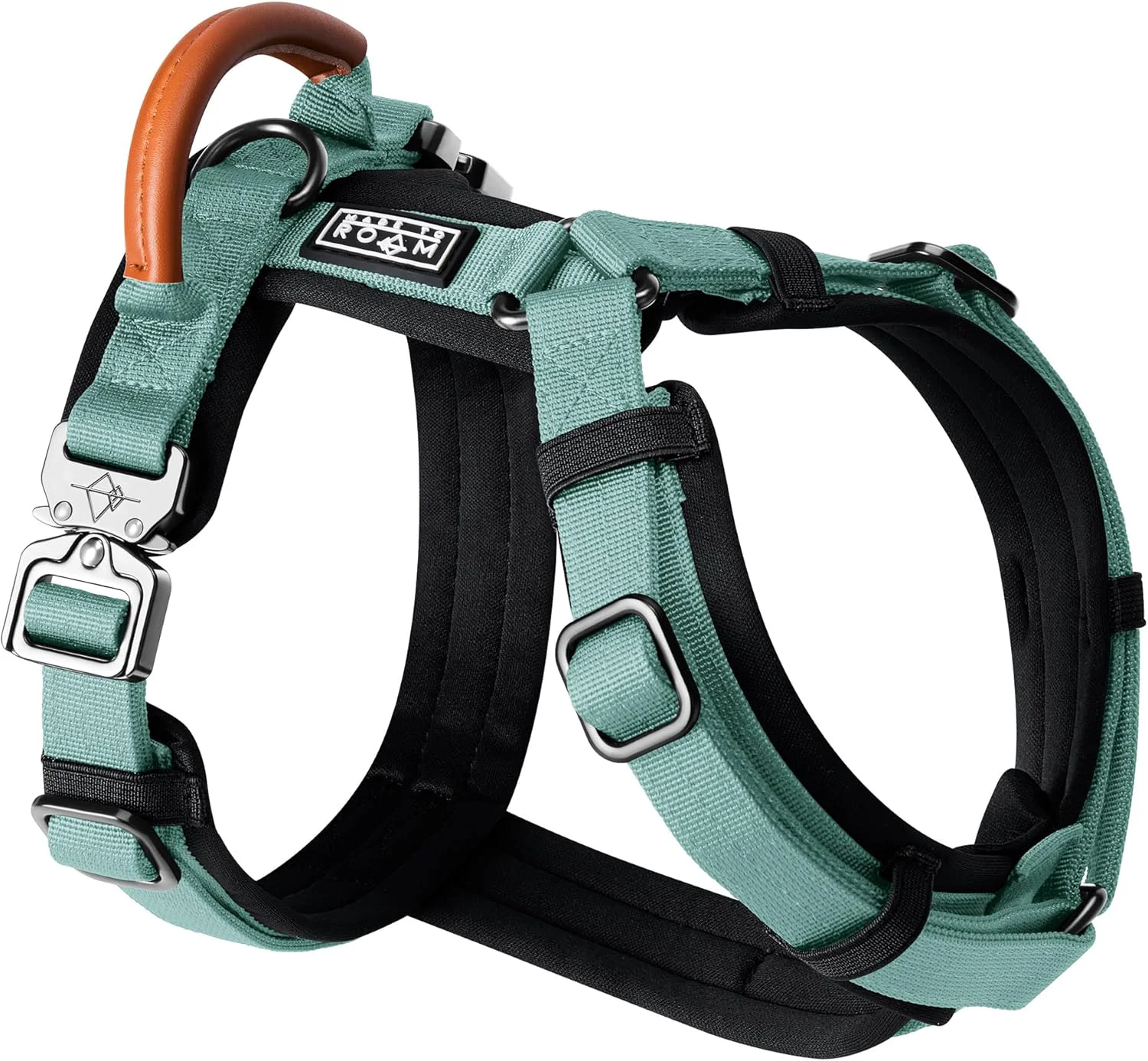Healthy MADE TO ROAM Premium Explorer Harness - Y-Shaped Dog Harness with Adjustable Durable Nylon Soft Padding Metal Buckles and Leather Handle for Small Medium Large Dogs Florida Seaside Size 2 Responsible