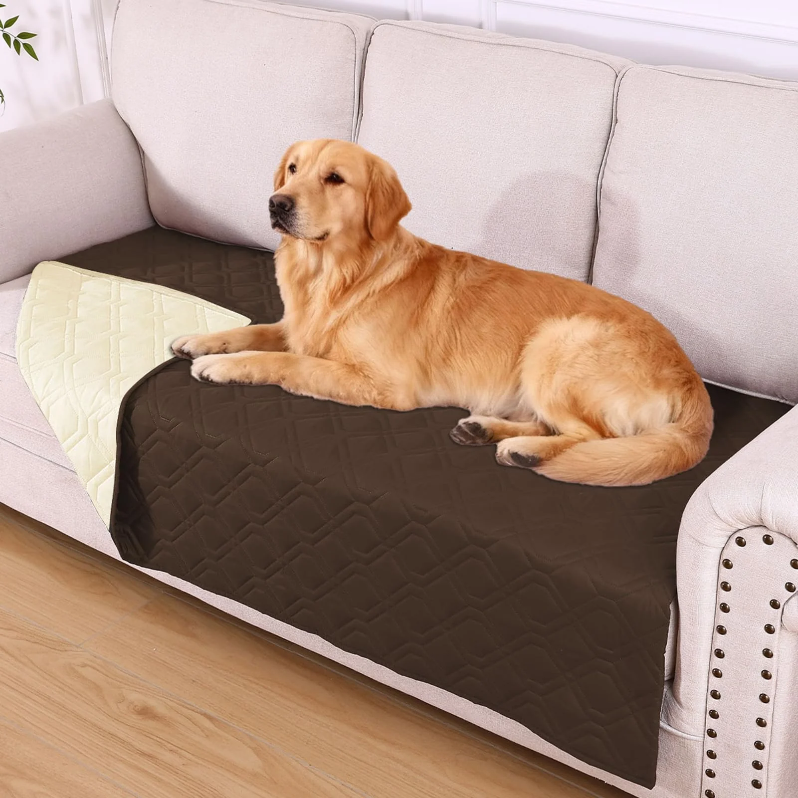Flexible hyha Waterproof Dog Bed Blanket Reversible Sofa Cover 40x90 in Chocolate Beige Minimalist