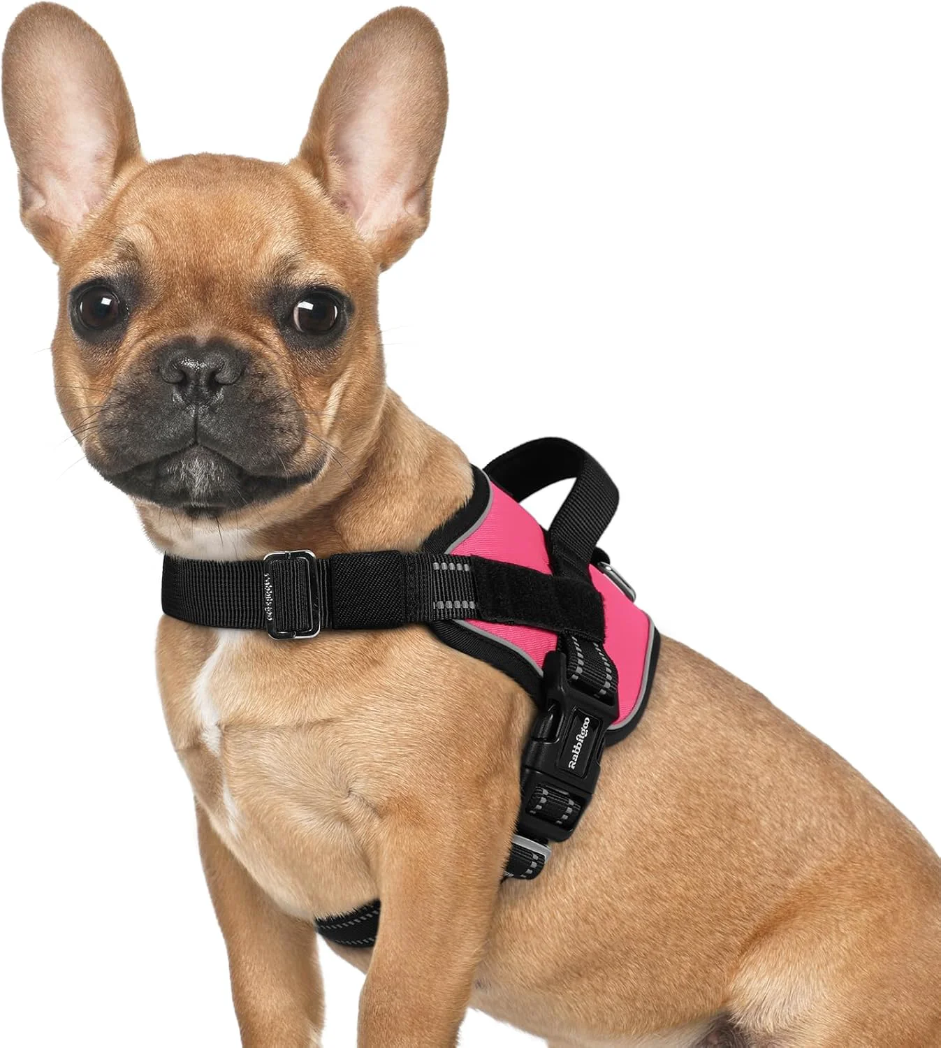 Enhanced rabbitgoo Dog Harness for Small Easy On Pet Vest with One Buckle No Pull Adjustable Service Harness with D-Ring Handle Reflective for Safety Walking Training Pink S Luxury