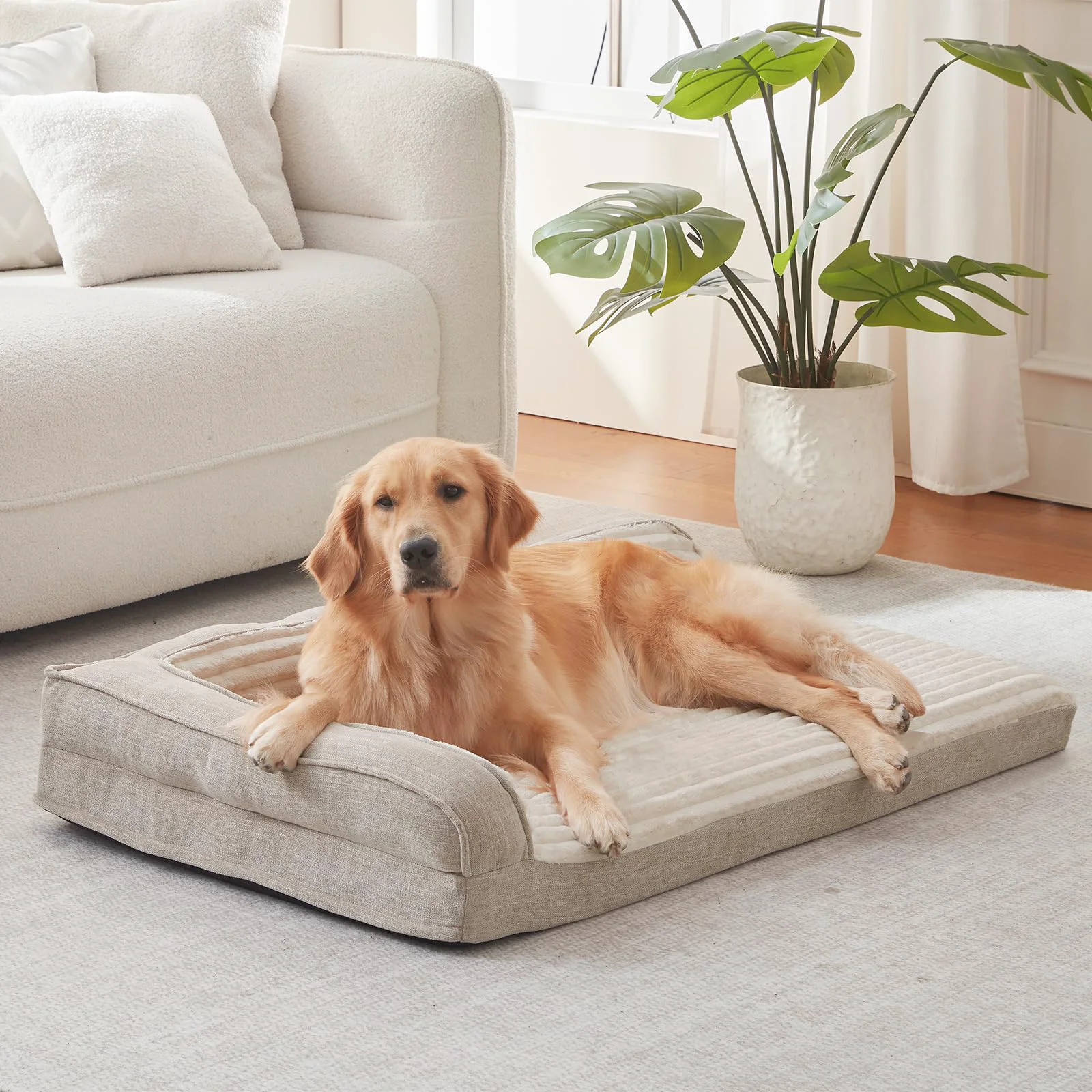 Eco-Friendly WINDRACING Orthopedic Dog Bed for Medium Dogs – 36x23 in Egg Foam with L Bolster Sides Beige Lightweight