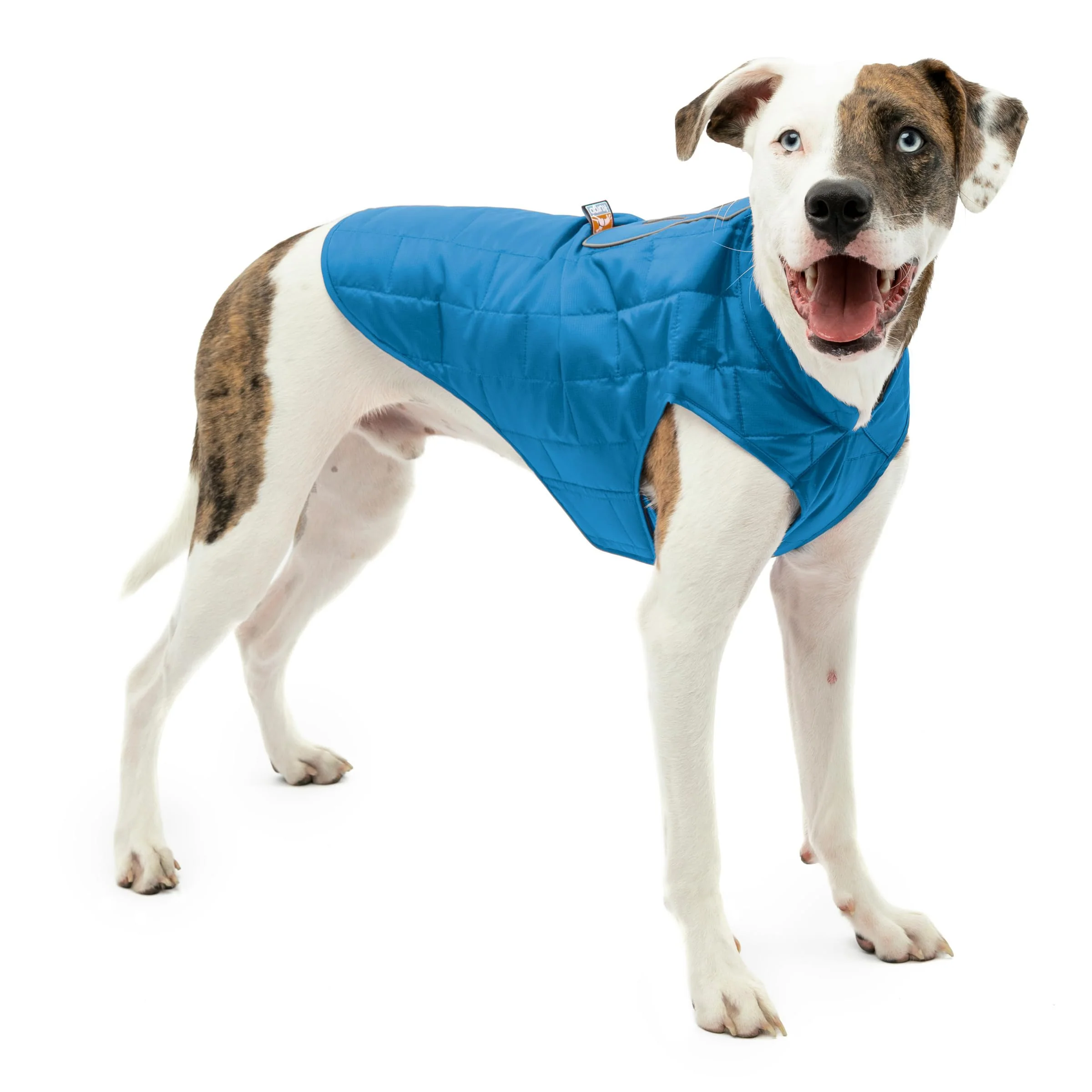 Exceptional Kurgo Loft Dog Jacket - Reversible Water-Resistant Coat for Outdoor Adventures Medium Coastal Blue Specialty