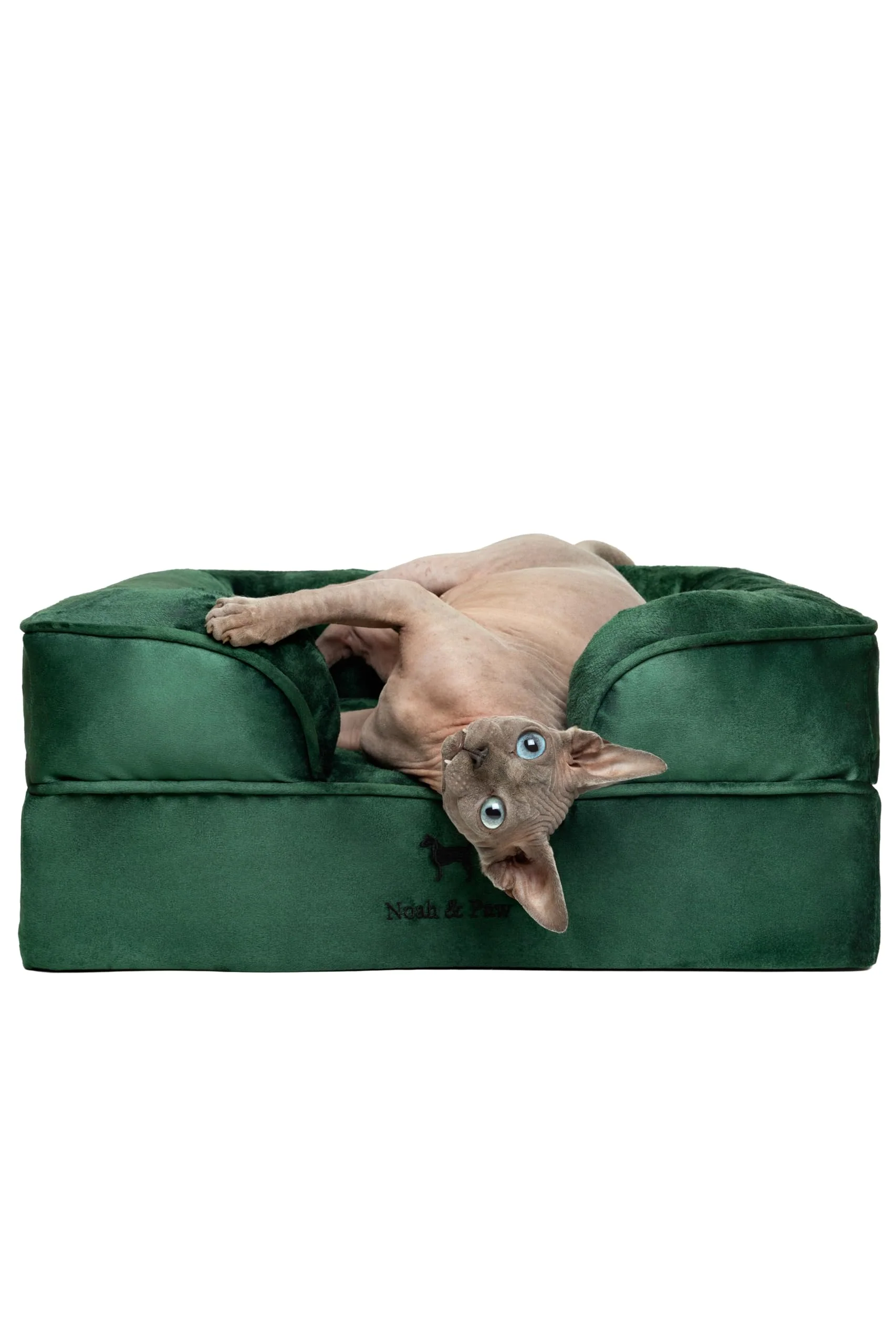 Innovative NOAH PAW Small Dog Bed — Orthopedic Memory Foam with Cooling Gel 20x15x8 Velvet Collection High-Grade