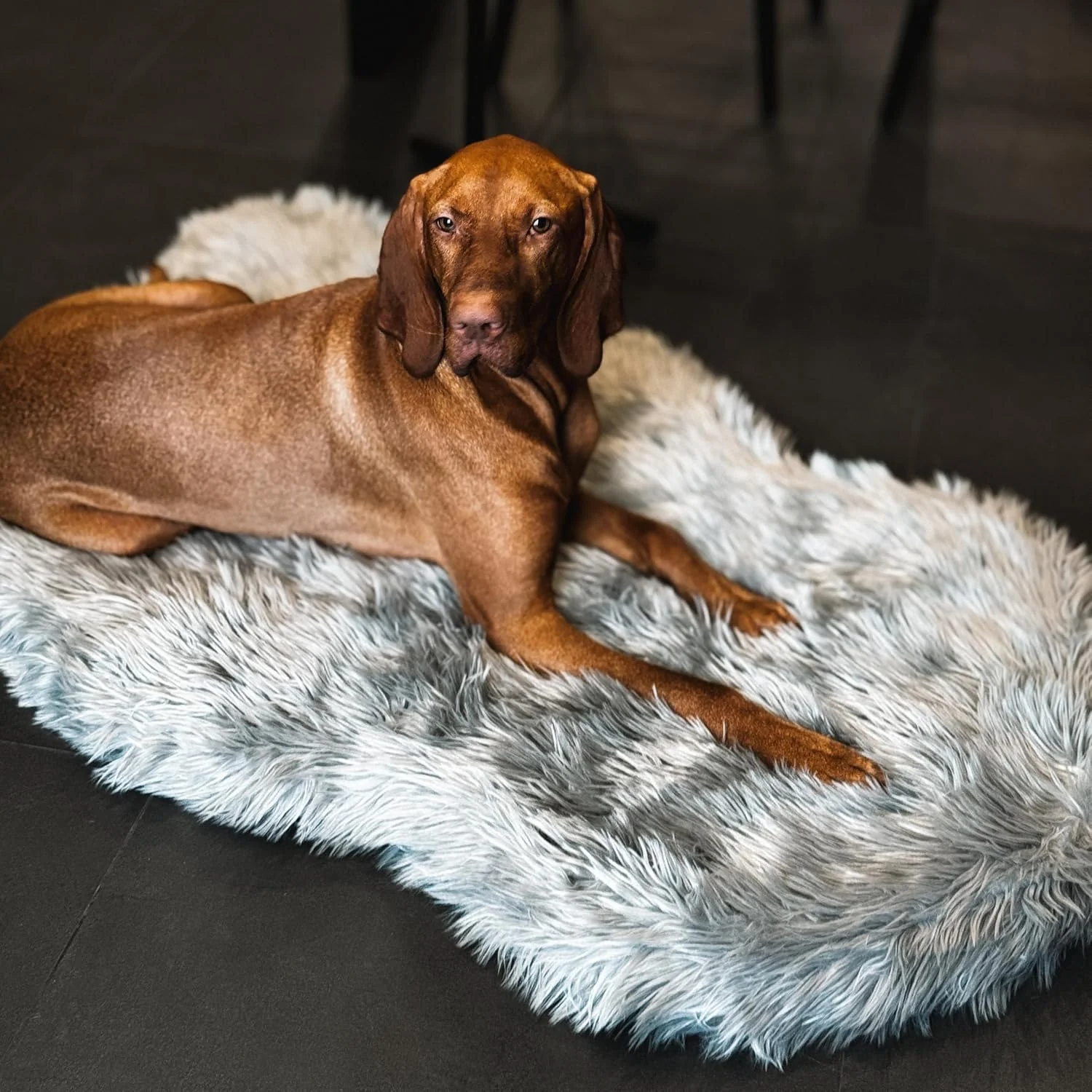 Reusable IHAPPYDOG Luxury Faux Fur Orthopedic Dog Bed Memory Foam Dog Bed for Small Medium Large and XL Pets Fluffy Pet Bed with Waterproof and Washable Cover Grey 50 x30 Carefully Designed