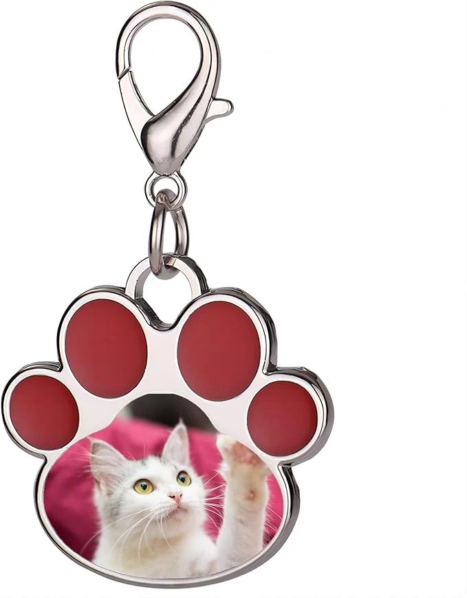 Convenient Custom Pet Photo Keychain Personalized Photo Pawprint Dog Tag Keychain Engraved Fast