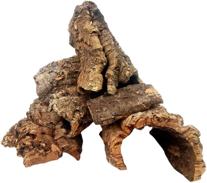 Exclusive Cork Bark - 1lb Assorted - for Orchids Airplants Reptiles and Terrariums Modern