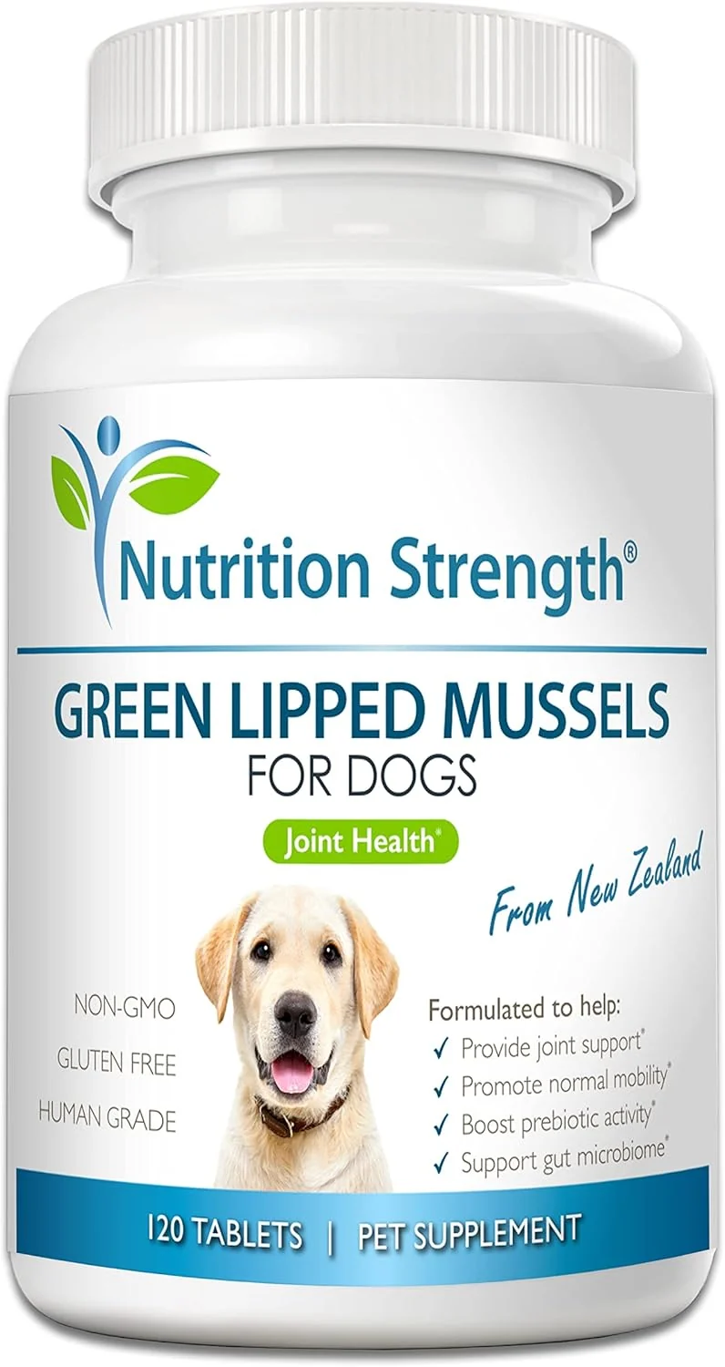 Modern Green Lipped Mussels for Dogs for Joint Support Inflammatory Relief Promote Normal Mobility Flexibility Boost Prebiotic Activity Support Gut Microbiome 120 Chewable Tablets Clean