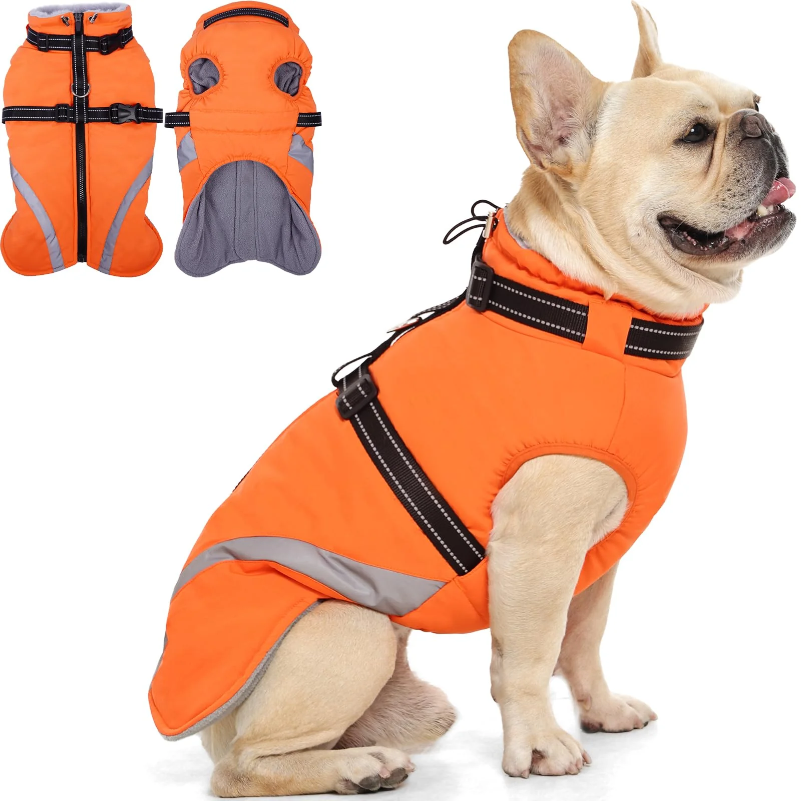Clean QBLEEV Small Dog Coat – Waterproof with Built-in Harness Orange XS Outstanding