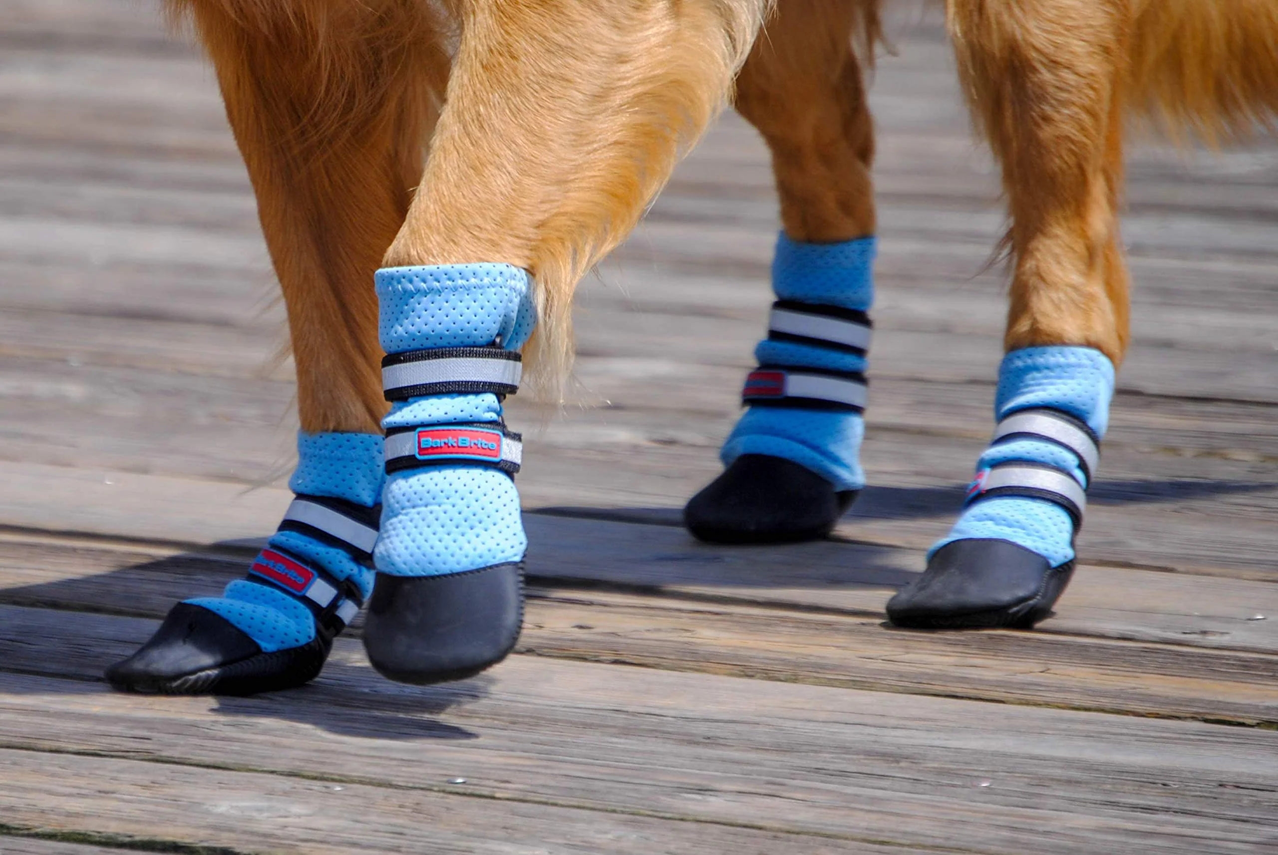 Powerful Bark Brite Lightweight Neoprene Dog Boots – Breathable Paw Protectors Blue Md Classic