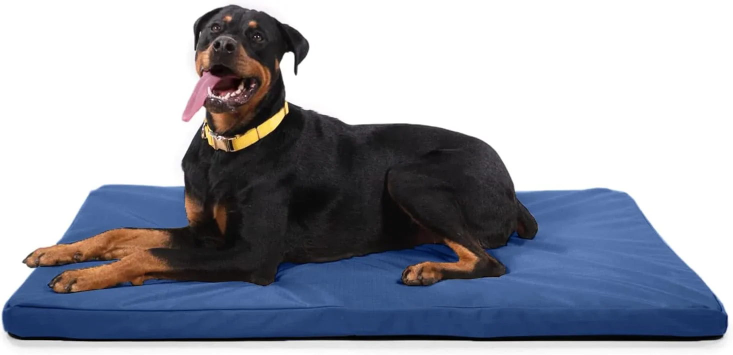 Fast K9 Ballistics Tough Ripstop Orthopedic Dog Bed - Durable Pad with Washable Cover for Wire Crates Tie-Downs Included Size X-Large 47 x29 Blue Quartz Modern