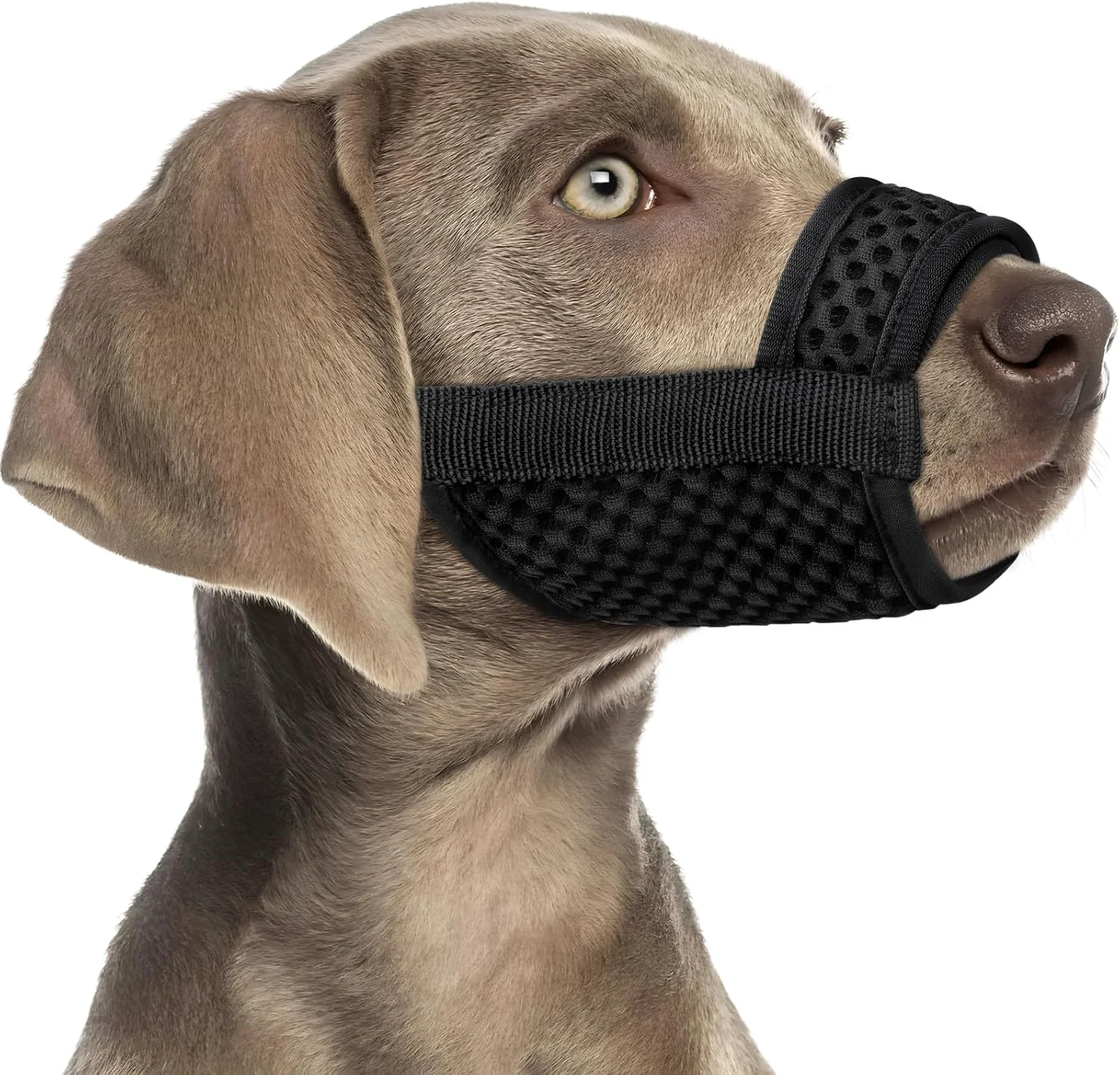 Recyclable Mayerzon Dog Muzzle with Hook and Loop for Large Medium Small Dogs Patented Soft Mesh Beagle Labrador Puppy Muzzles for Biting Chewing Grooming Breathable Adjustable Allows Panting Drinking Authentic
