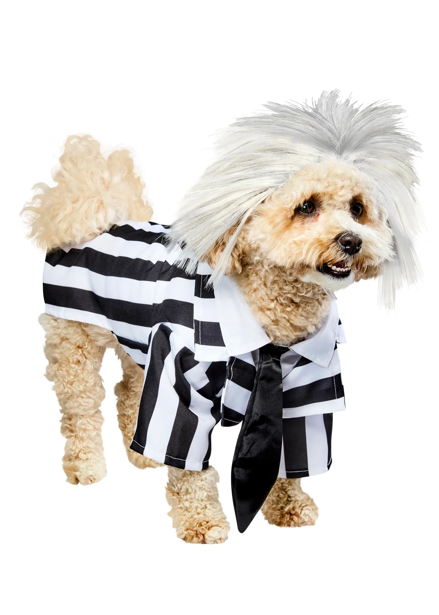 Specialty Beetlejuice Pet Costume XL by Rubies for Dogs or Cats Relaxed