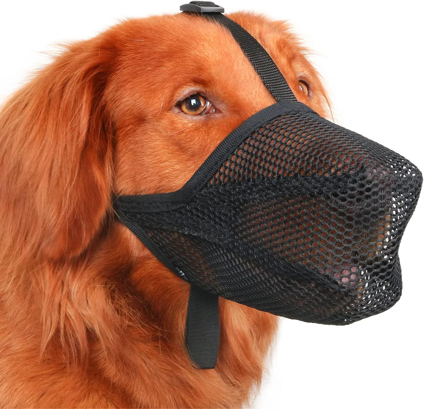 Exceptional Mayerzon Dog Muzzle Patented Soft Mesh Muzzle for Small Medium Large Dogs for Scavenging Biting Licking and Chewing Allows to Pant and Drink XL Black Prestigious