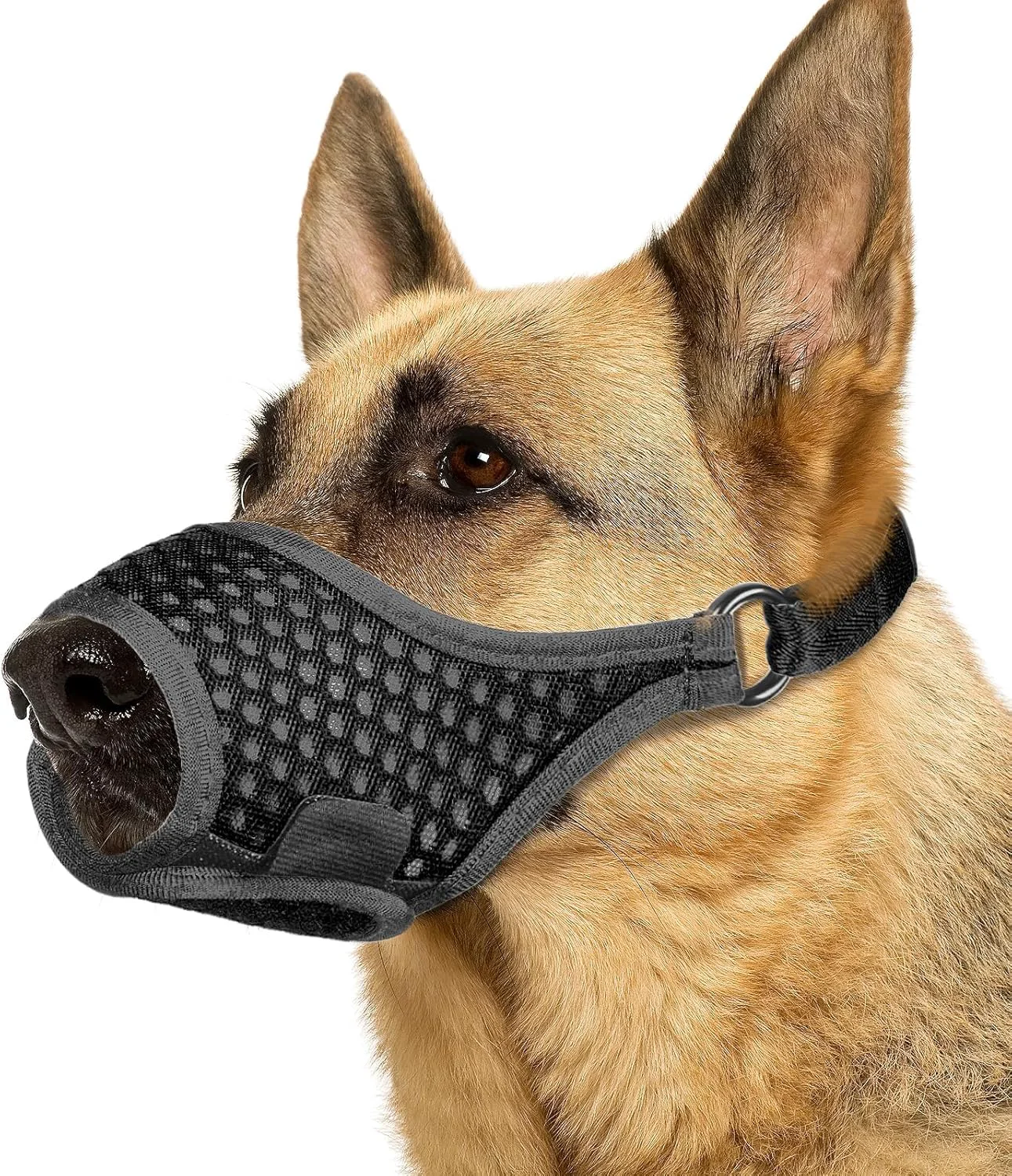 Minimalist LUCKYPAW Dog Muzzle Soft Muzzles for Large Medium Small Dogs to Prevent Biting Chewing with Ring and Adjustable Strap for Vet Visit Training Black XS Modern