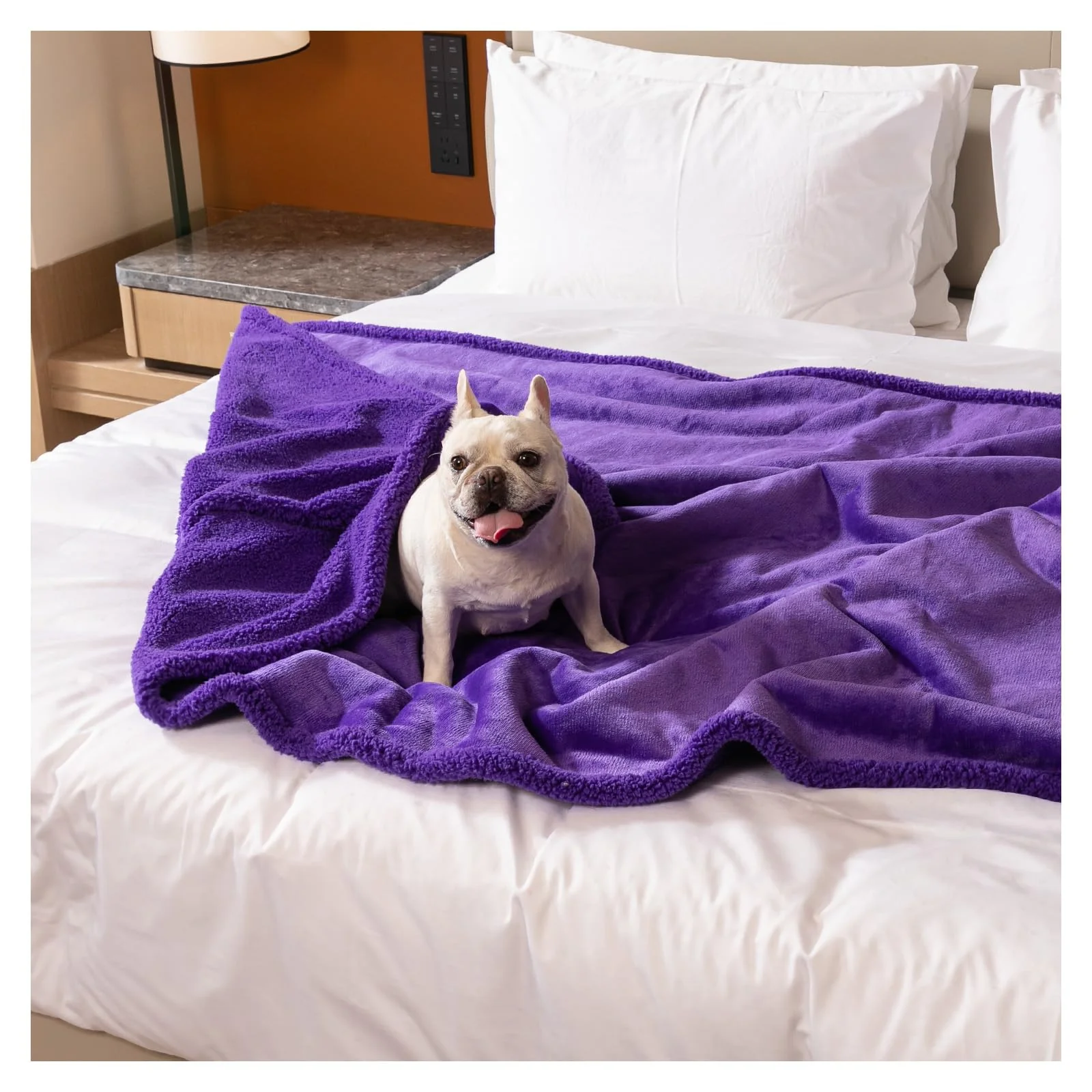 Expertly Made Maidewow Purple King Size Waterproof Sherpa Fleece Pet Blanket 85x85in – Reversible Leakproof Bed Sofa Cover XXL Detailed