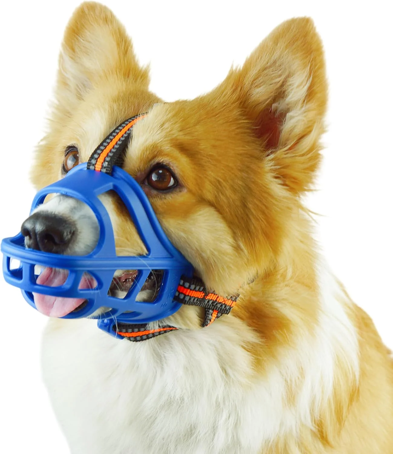 Specialty Dog Muzzle Basket Muzzle for Small Medium Large Dogs Anti-Biting and Chewing Lightweight Sturdy Cage Design Allows Panting Drinking I for Grooming Training（Blue Size S） Original