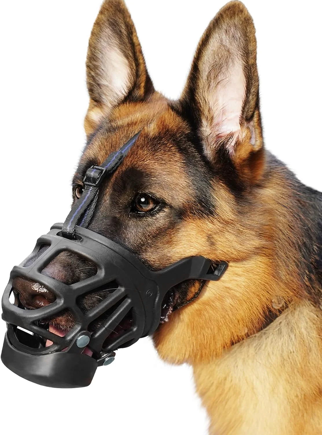 Smooth BARKLESS Basket Muzzle for Medium Dogs Humane Muzzle to Prevent Biting and Scavenging Snap-on Treat Cover Helps Dogs Acclimatize Mouth Cover Adjustable Mouth Guard for Positive Training Grooming Optimized