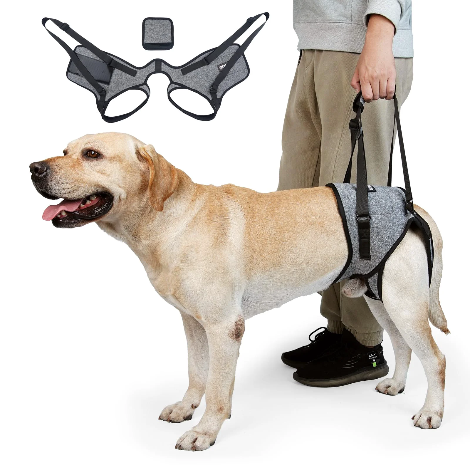 Outstanding CNEO Dog Lift Harness – Adjustable Back-Leg Support for Senior Disabled Dogs Elegant