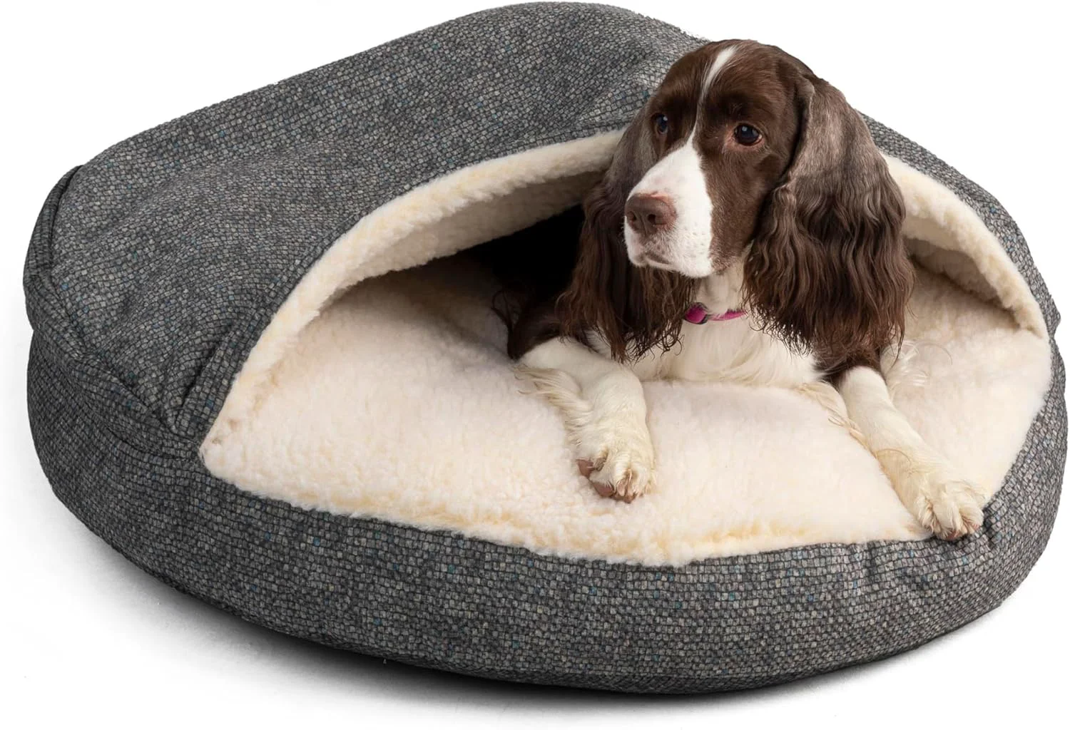Selected Snoozer Luxury Microsuede Cozy Cave Pet Bed Show Dog Collection Small Merlin Pewter Outstanding