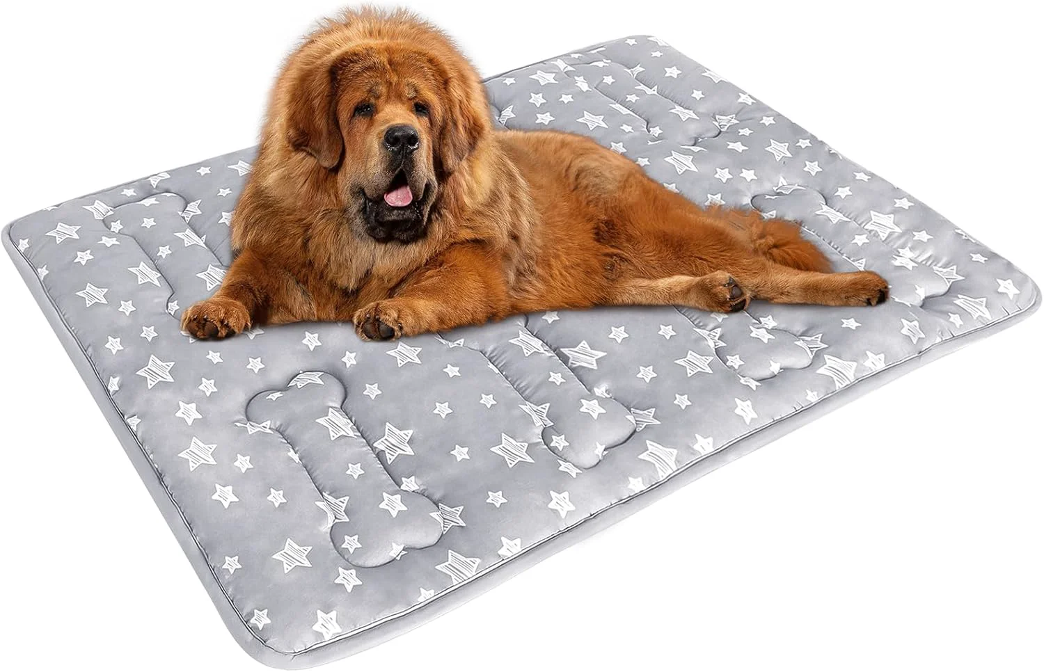Long-Lasting Dog Crate Mat 48 X 30 Soft Dog Bed Mat with Cute Prints Personalized Crate Pad Anti-Slip Bottom Machine Washable Kennel Pad Powerful