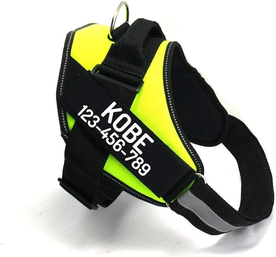 Durable PawPawify Custom No Pull Dog Harness with Name and Phone Number Heavy Duty Personalized Pet Vest to Prevent Tugging Pulling or Choking Training and Walking Green L 40-60 LBS Prestigious