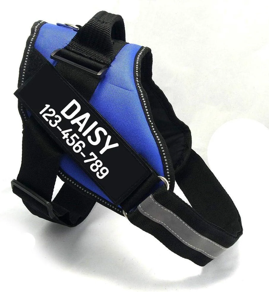 Functional PawPawify Custom No Pull Dog Harness with Name and Phone Number Heavy Duty Personalized Pet Vest to Prevent Tugging Pulling or Choking Training and Walking Blue M 20-40 LBS Innovative