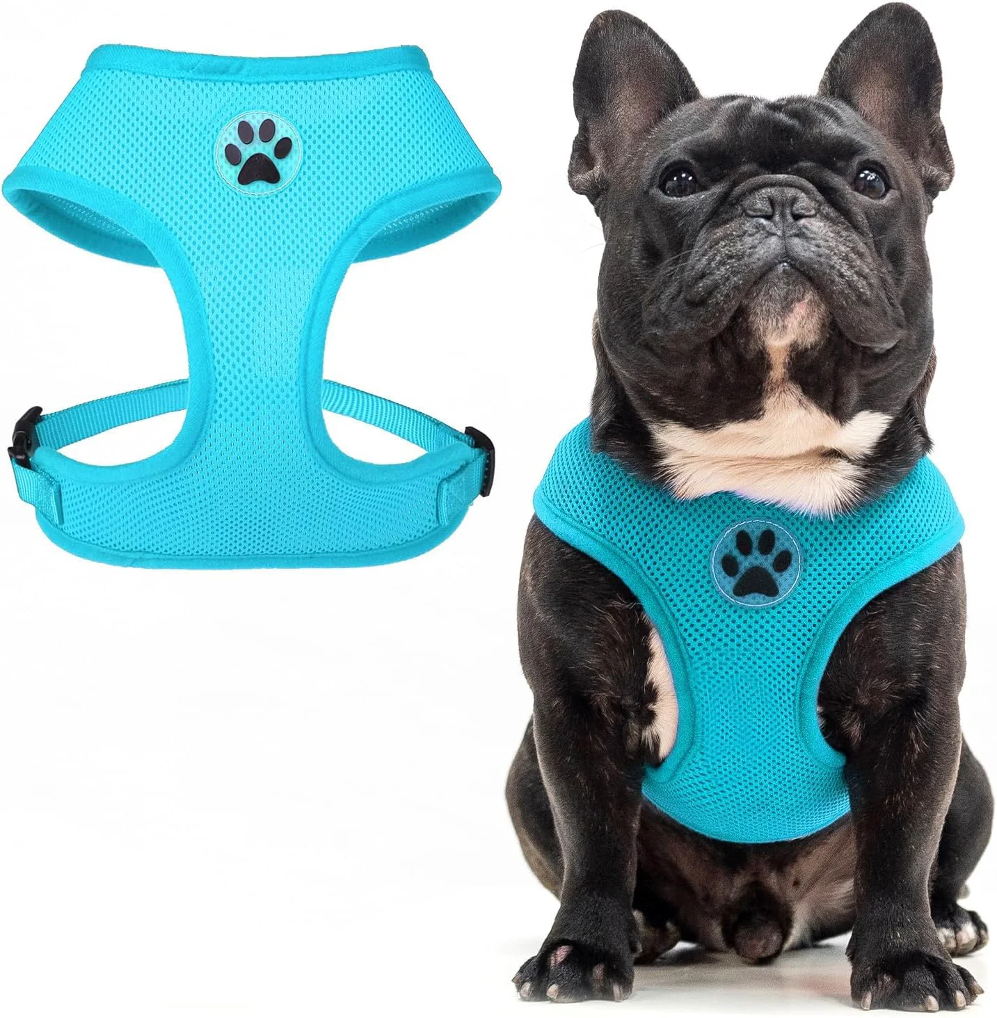 Luxury BINGPET No Pull Dog Harness Soft Mesh Breathable All Weather Vest Harness Safety Protection Design Durable Adjustable Step-in Easy Walk Dog Harness for Small Medium Large Dogs RoyalBlue M Enhanced