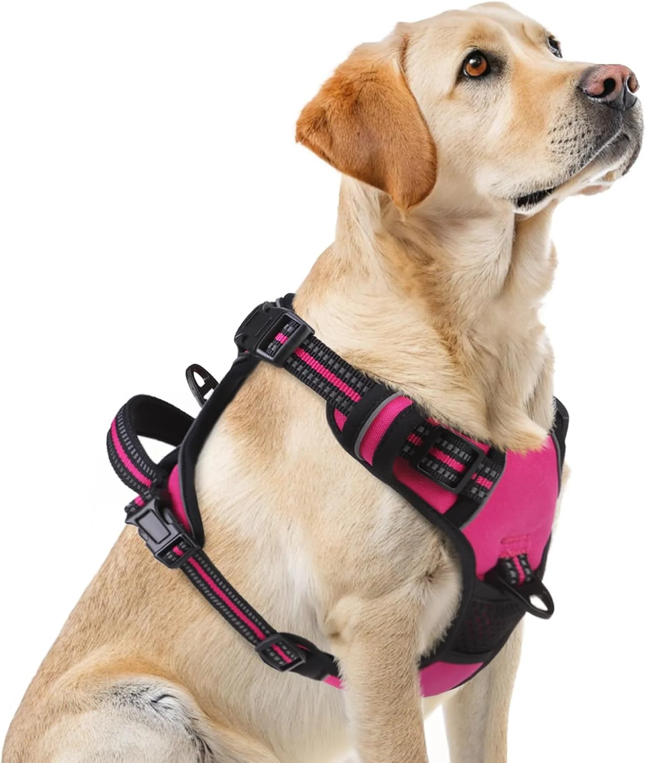 Lightweight PUPTECK No Pull Dog Harness for Large Adjustable Reflective Dog Harness with Handle Easy Control Comfortable Soft Padded Pet Vest Harness for Large Dogs Fuschia L Quality
