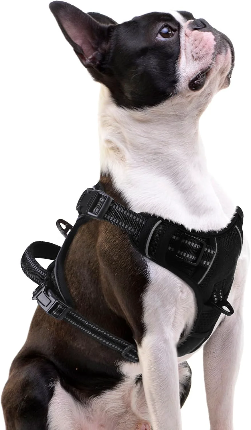 Trendy PUPTECK No Pull Dog Harness Small Sized Adjustable Reflective Dog Harness with Handle Easy Control Comfortable Soft Padded Pet Vest Harness for Small Dogs Black S Exclusive