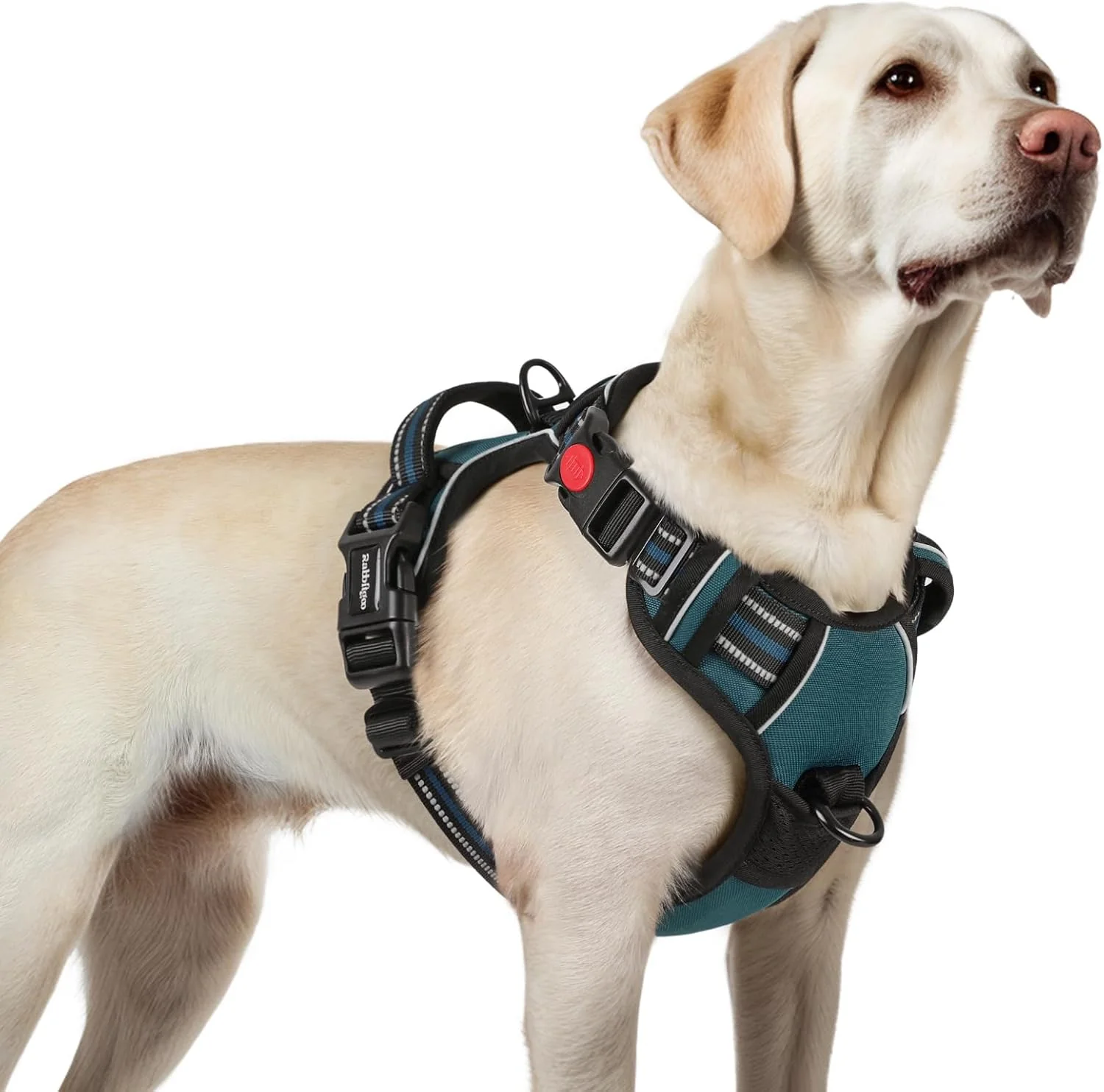 Optimized rabbitgoo Dog Harness for Large No Pull Pet Harness with 3 Buckles Adjustable Soft Padded Vest with Control Handle Walking Reflective Pet Vest for Large Dogs Blue Coral L Organic