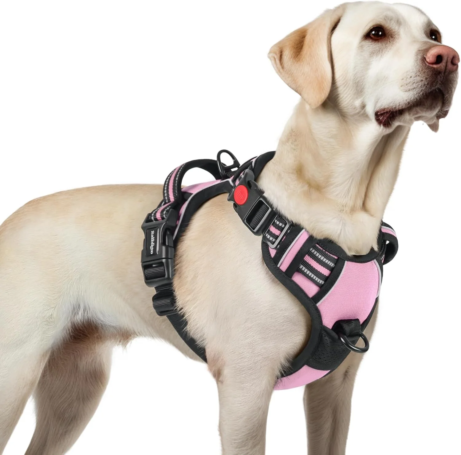 Stylish rabbitgoo Dog Harness for Large No Pull Pet Harness with 3 Buckles Adjustable Soft Padded Vest with Control Handle Walking Reflective Pet Vest for Large Dogs Pink L Natural