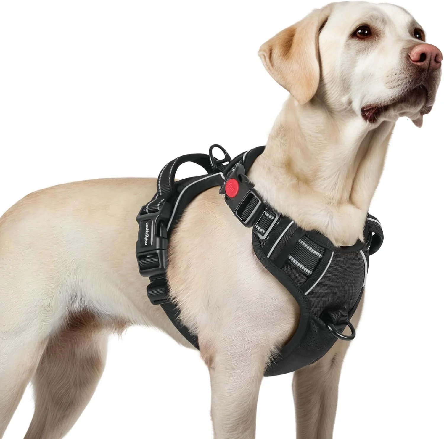Modern rabbitgoo Dog Harness for Large No Pull Pet Harness with 3 Buckles Adjustable Soft Padded Vest with Control Handle Walking Reflective Pet Vest for Large Dogs Black L Fine
