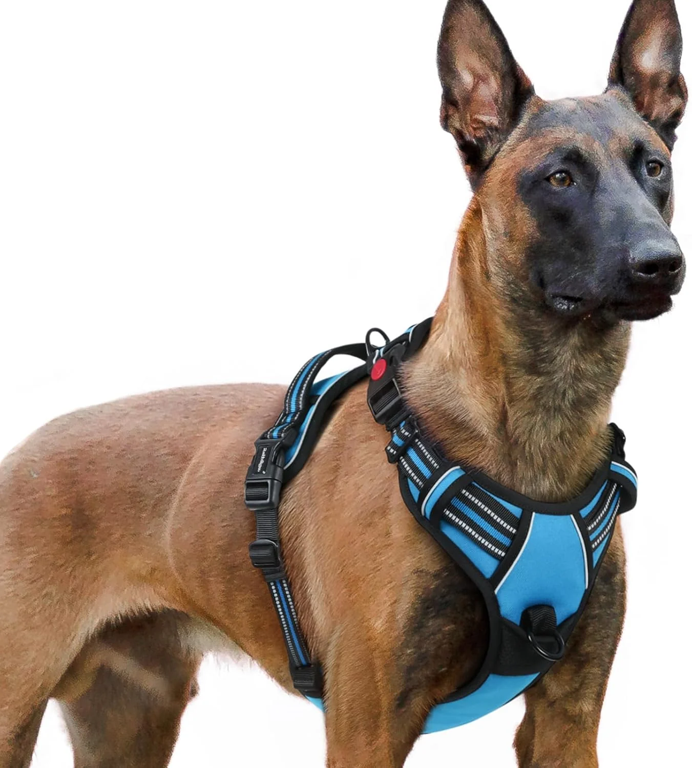 Consistent rabbitgoo Dog Harness for Large No Pull Pet Harness with 3 Buckles Adjustable Soft Padded Vest with Control Handle Walking Reflective Pet Vest for Extra Large Dogs Sky Blue XL Unique