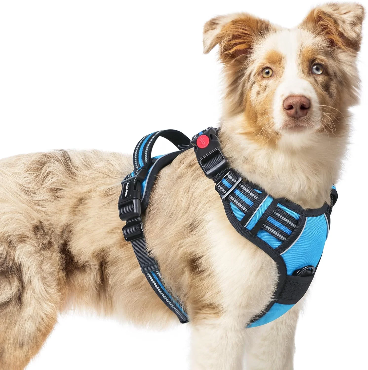 Easy-to-Use rabbitgoo Dog Harness Medium Sized No Pull Pet Harness with 3 Buckles Adjustable Soft Padded Vest with Control Handle Walking Reflective Pet Vest for Medium Dogs Sky Blue M Lightweight