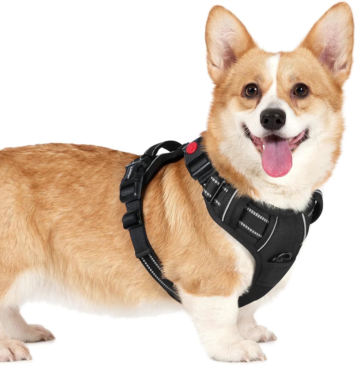 Organic rabbitgoo Dog Harness Small Sized No Pull Pet Harness with 3 Buckles Adjustable Soft Padded Vest with Control Handle Walking Reflective Pet Vest for Small Dogs Black S Contemporary