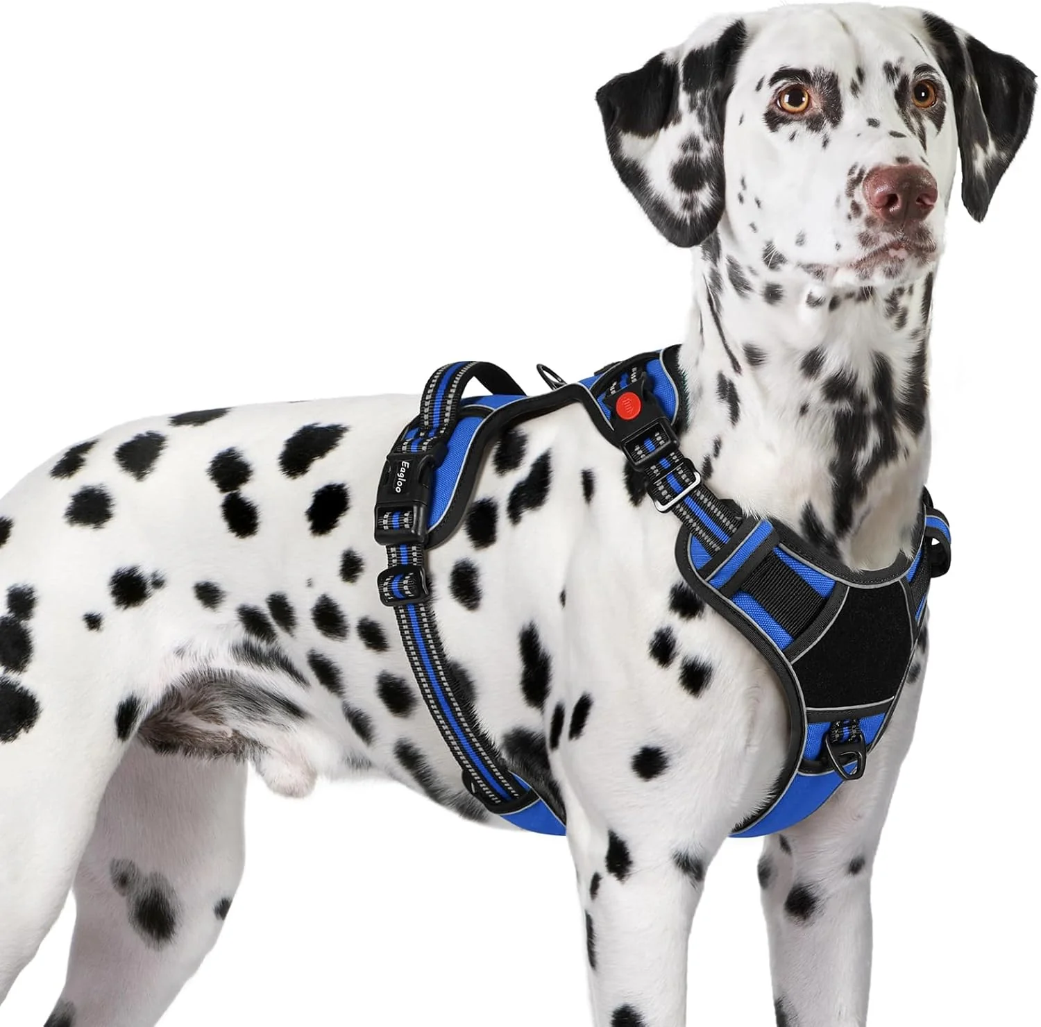 Practical Eagloo Dog Harness for Large Dogs Easy Wearing with 3 Buckles Adjustable No Pull Pet Harness with 2 Rings for Walking No Chock Reflective Soft Padded Vest with Control Handle Blue Black XL Reusable