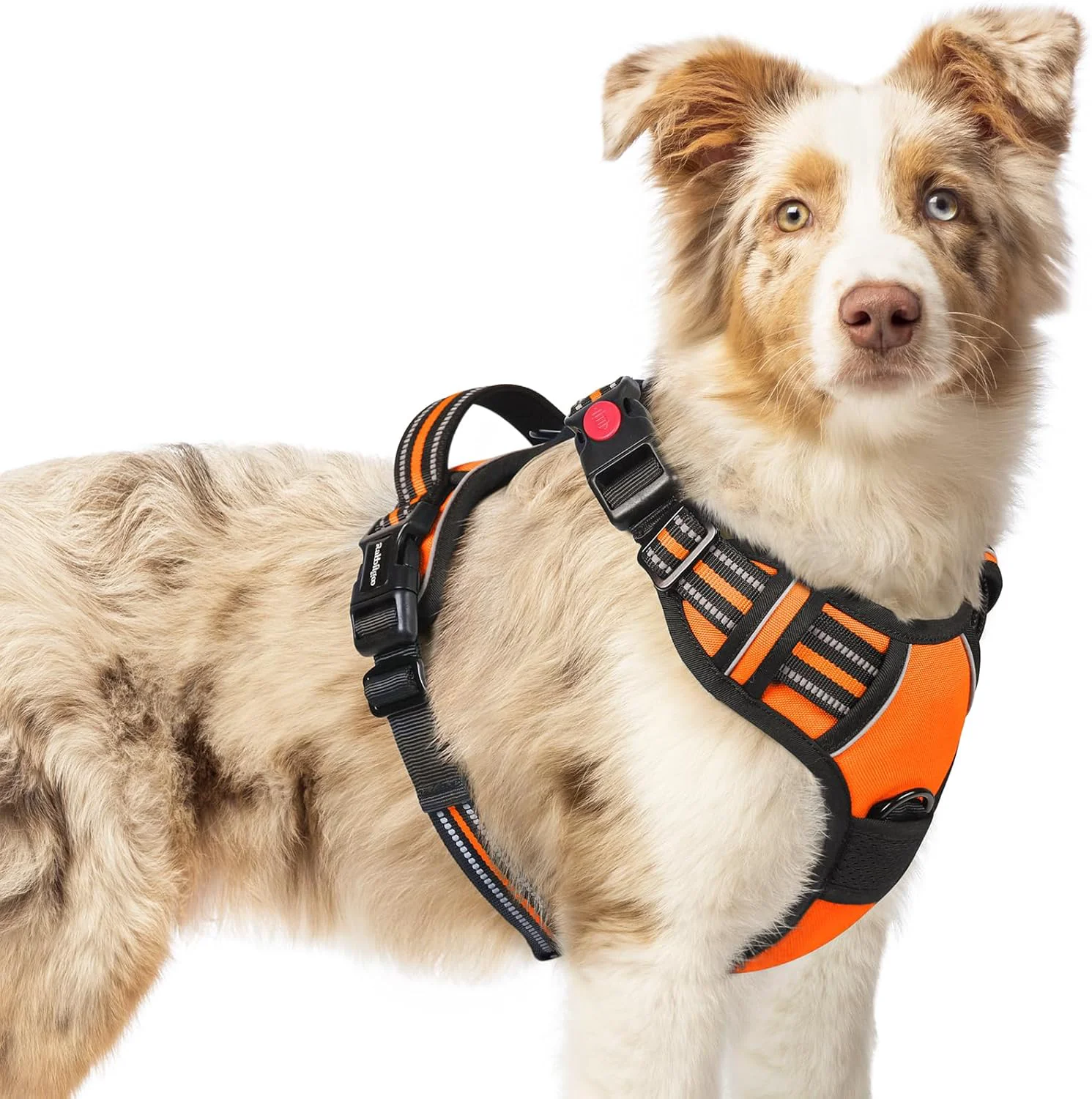 Modern rabbitgoo Dog Harness Medium Sized No Pull Pet Harness with 3 Buckles Adjustable Soft Padded Vest with Control Handle Walking Reflective Pet Vest for Medium Dogs Orange M Professional