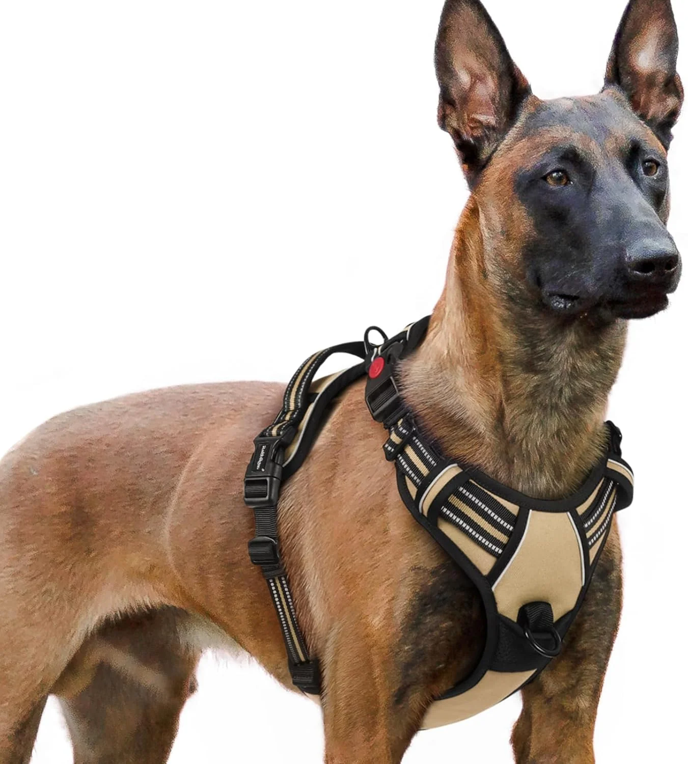 Minimalist rabbitgoo Dog Harness for Large No Pull Pet Harness with 3 Buckles Adjustable Soft Padded Vest with Control Handle Walking Reflective Pet Vest for Extra Large Dogs Beige XL Organic