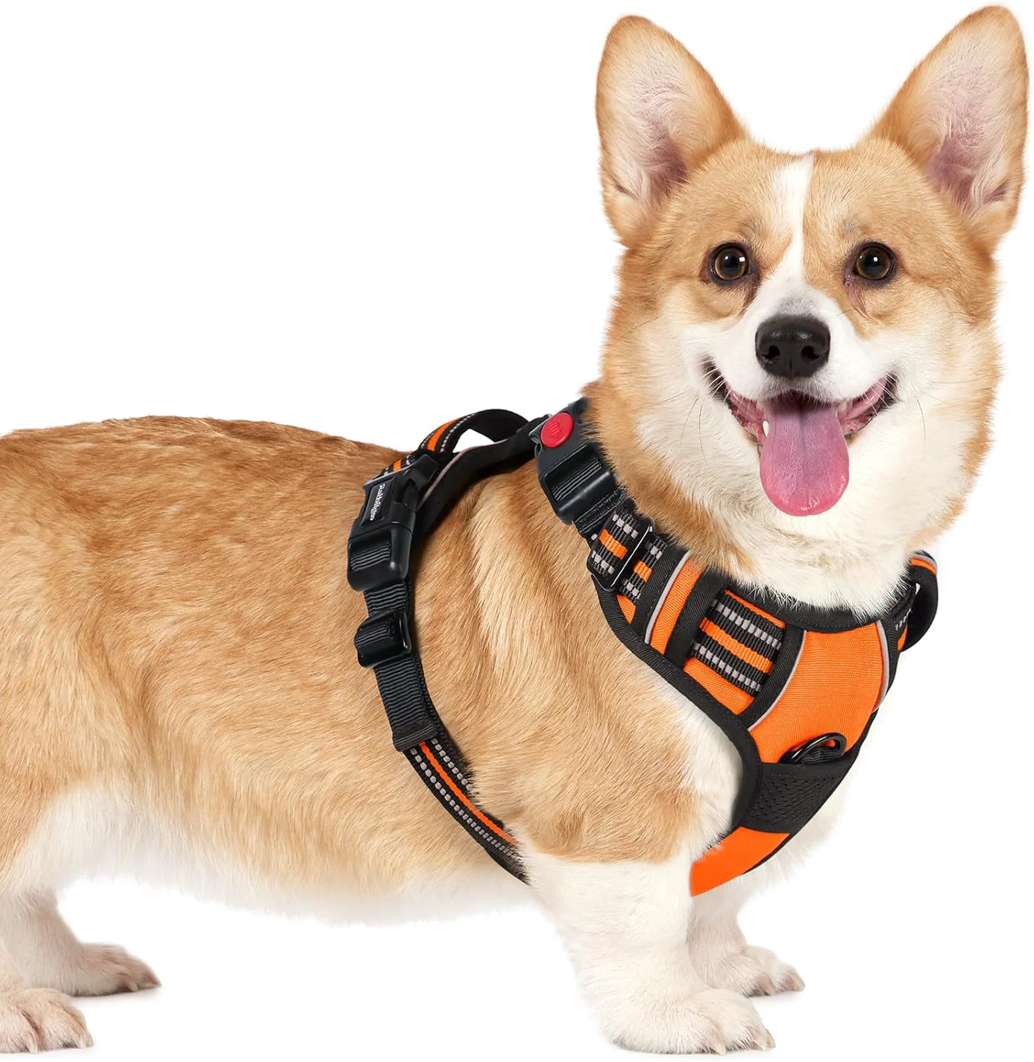 Smart rabbitgoo Dog Harness Small Sized No Pull Pet Harness with 3 Buckles Adjustable Soft Padded Vest with Control Handle Walking Reflective Pet Vest for Small Dogs Orange S Reliable