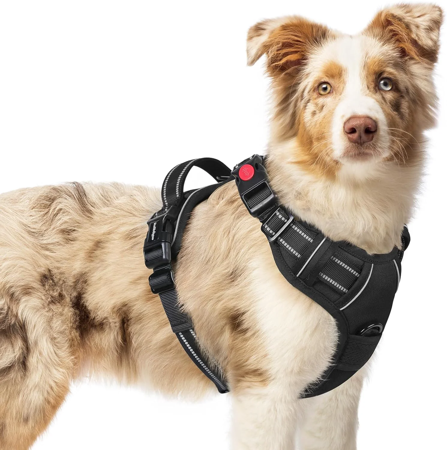 Certified rabbitgoo Dog Harness Medium Sized No Pull Pet Harness with 3 Buckles Adjustable Soft Padded Vest with Control Handle Walking Reflective Pet Vest for Medium Dogs Black M Clean