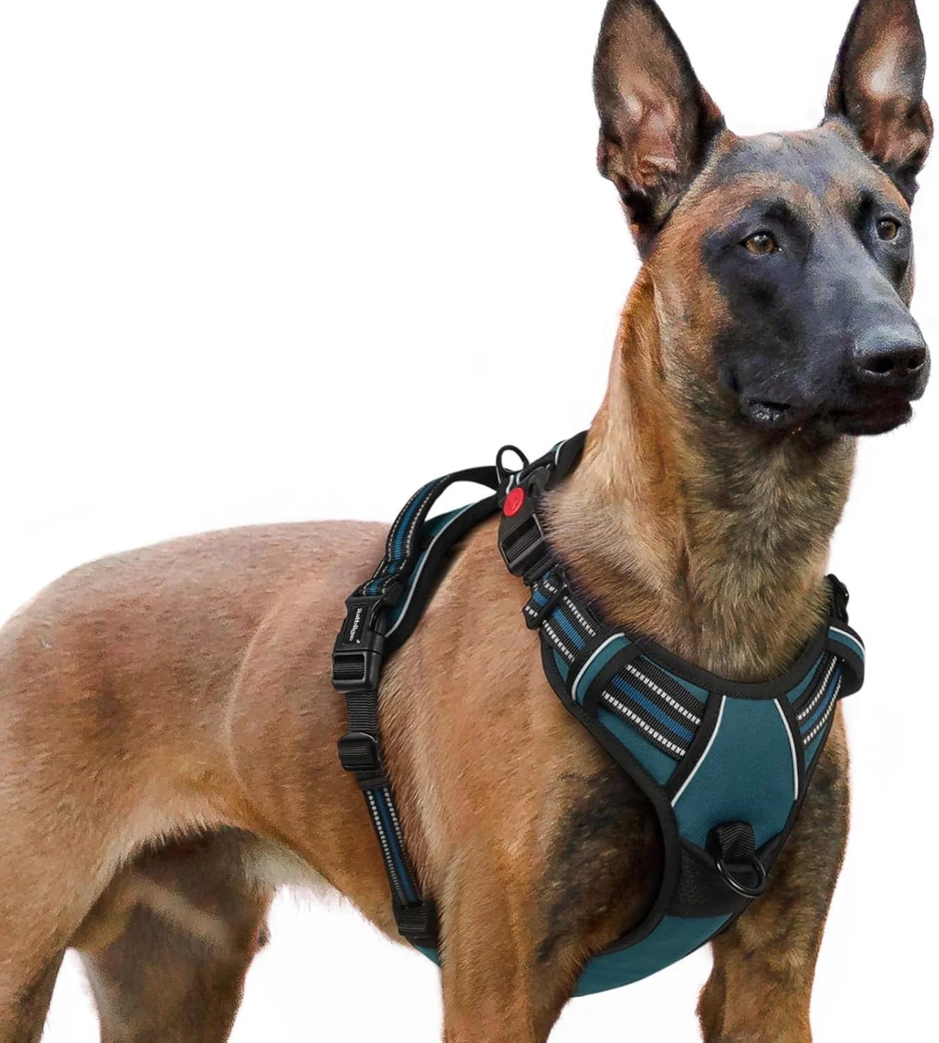 Lightweight rabbitgoo Dog Harness for Large No Pull Pet Harness with 3 Buckles Adjustable Soft Padded Vest with Control Handle Walking Reflective Pet Vest for Extra Large Dogs Blue Coral XL Responsible