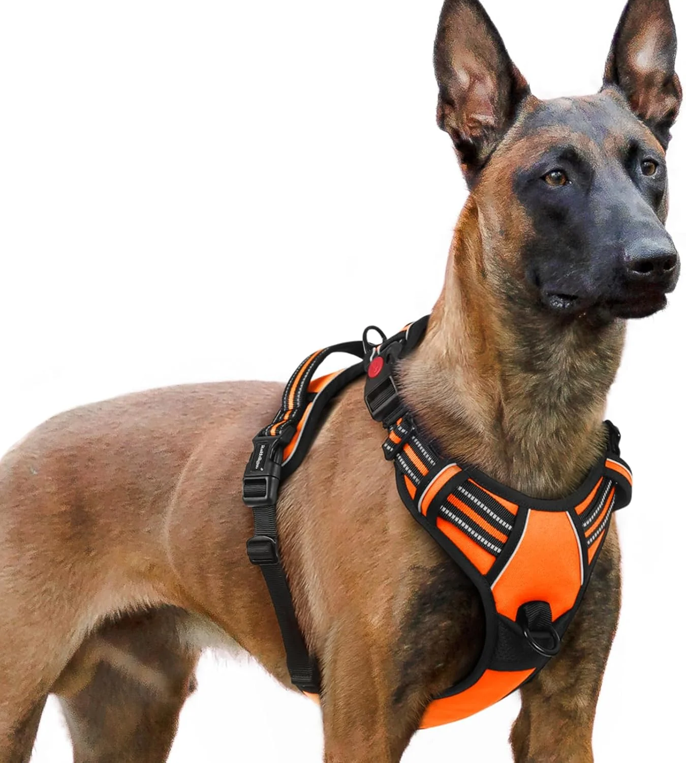 Responsible rabbitgoo Dog Harness for Large No Pull Pet Harness with 3 Buckles Adjustable Soft Padded Vest with Control Handle Walking Reflective Pet Vest for Extra Large Dogs Orange XL Outstanding