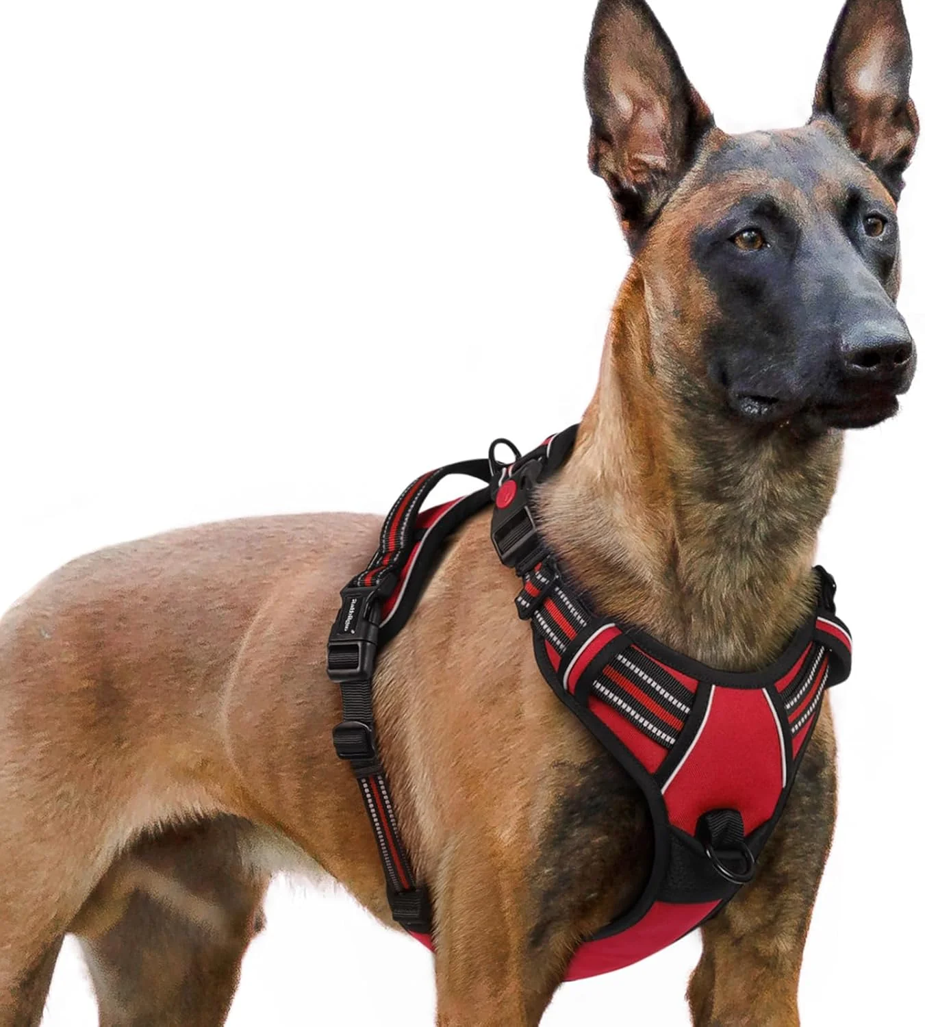 Clean rabbitgoo Dog Harness for Large No Pull Pet Harness with 3 Buckles Adjustable Soft Padded Vest with Control Handle Walking Reflective Pet Vest for Extra Large Dogs Red XL Genuine