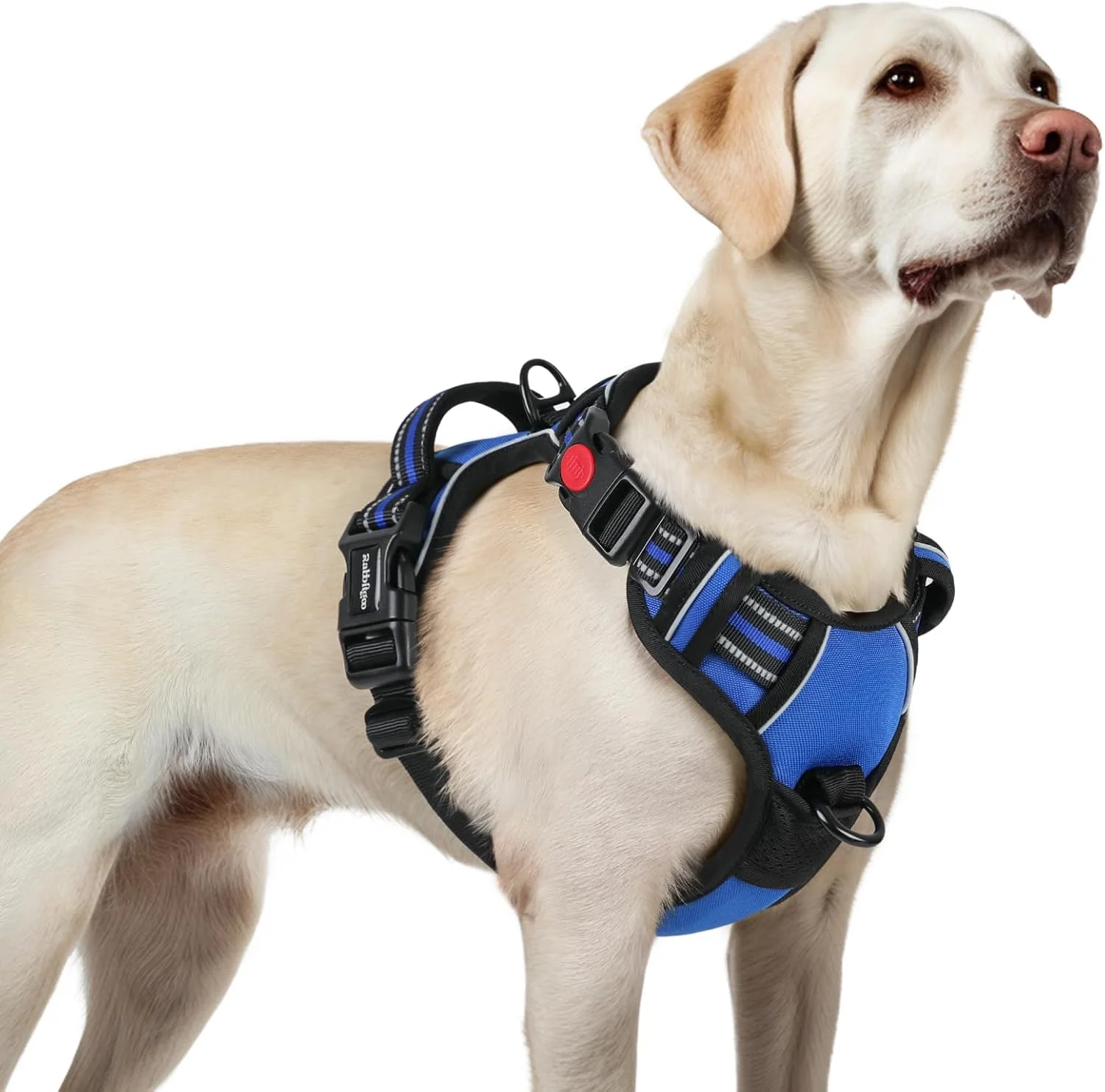 Practical rabbitgoo Dog Harness for Large No Pull Pet Harness with 3 Buckles Adjustable Soft Padded Vest with Control Handle Walking Reflective Pet Vest for Large Dogs Blue L Official