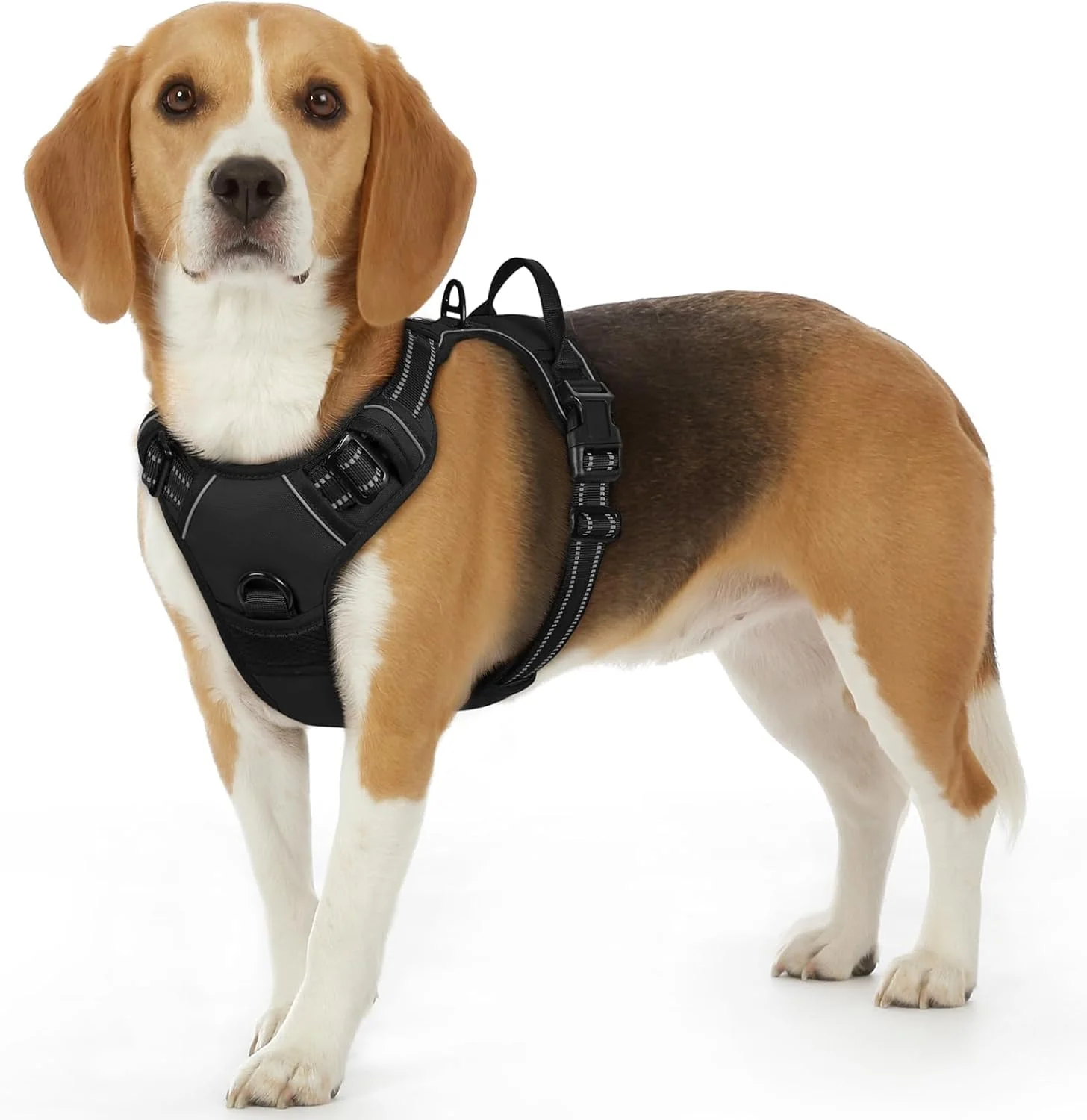 Minimalist Eagloo Dog Harness Small Sized Dog No Pull Service Vest with Reflective Strips and Control Handle Adjustable and Comfortable for Easy Walking No Choke Pet Harness with 2 Metal Rings Black S Innovative