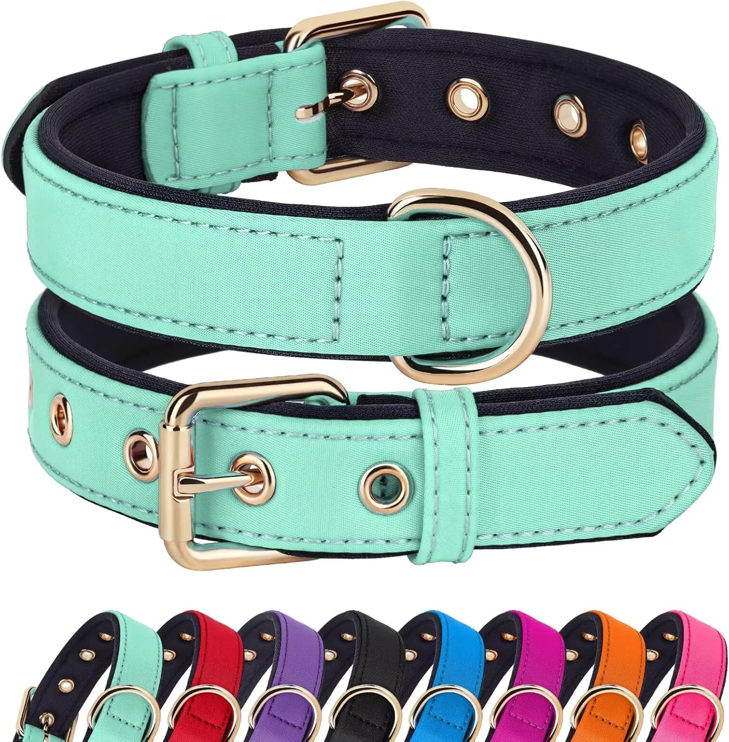 Easy-to-Use Didog Soft Padded Dog Collars for Medium Dogs Lightweight and Breathable Dog Collar with Metal Buckle Green L Minimalist