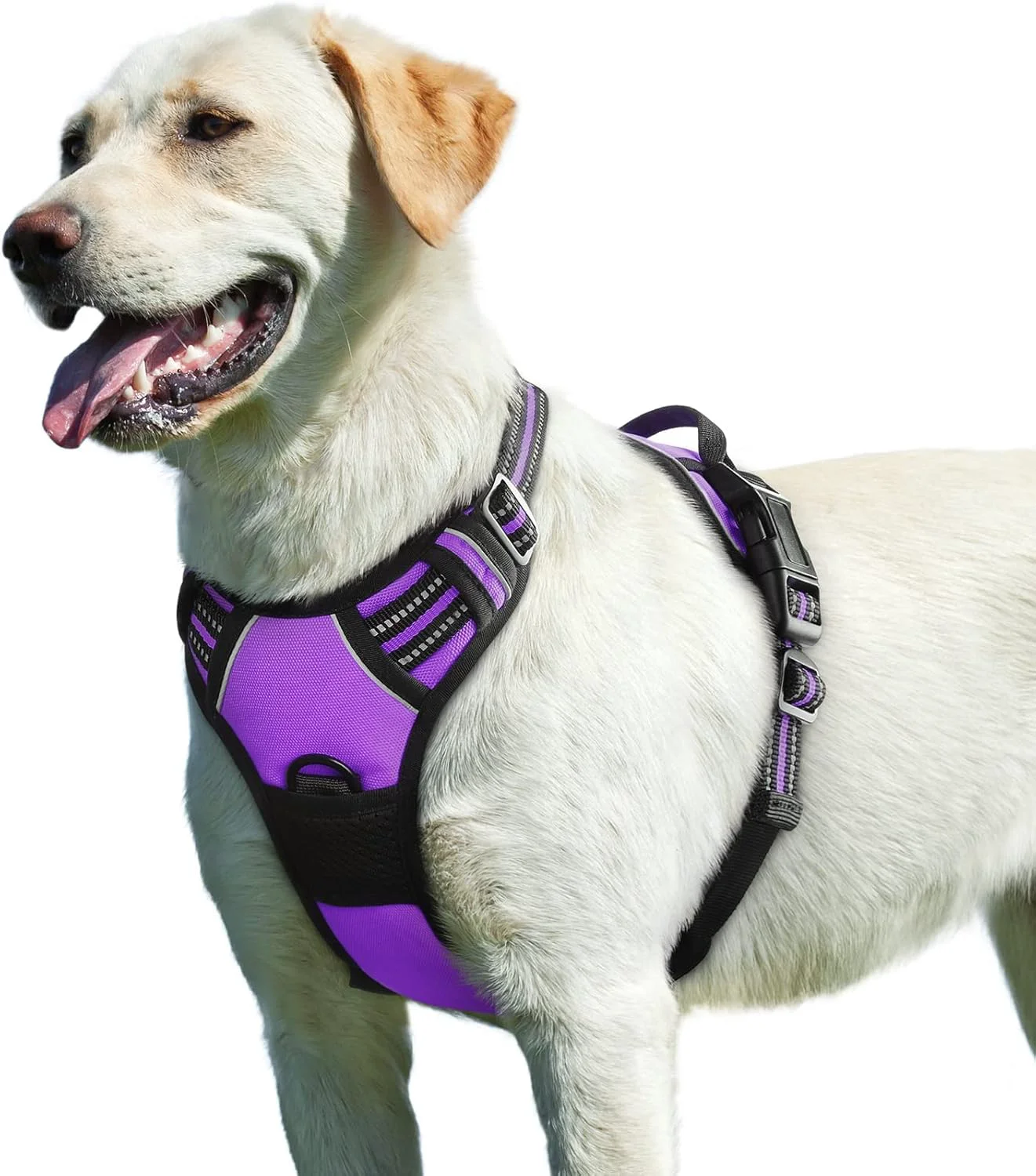 Innovative Eagloo Dog Harness for Large Dogs No Pull Service Vest with Reflective Strips and Control Handle Adjustable and Comfortable for Easy Walking No Choke Pet Harness with 2 Metal Rings Purple L Versatile