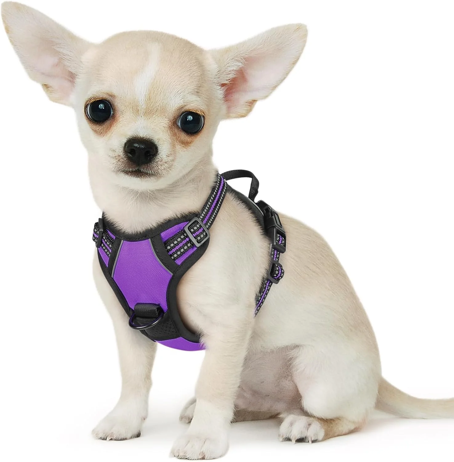 Sophisticated Eagloo Small Dog Harness No Pull Service Vest with Reflective Strips and Control Handle Adjustable and Comfortable for Easy Walking No Choke Pet Harness with 2 Metal Rings Purple XS Stylish