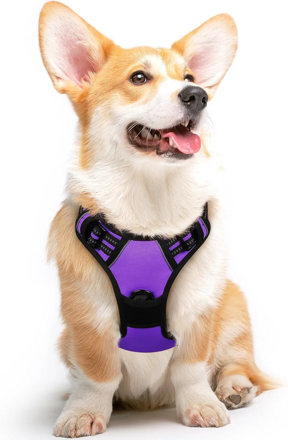 Excellent Eagloo Dog Harness Medium Sized Dog No Pull Service Vest with Reflective Strips and Control Handle Adjustable and Comfortable for Easy Walking No Choke Pet Harness with 2 Metal Rings Purple M Original Design
