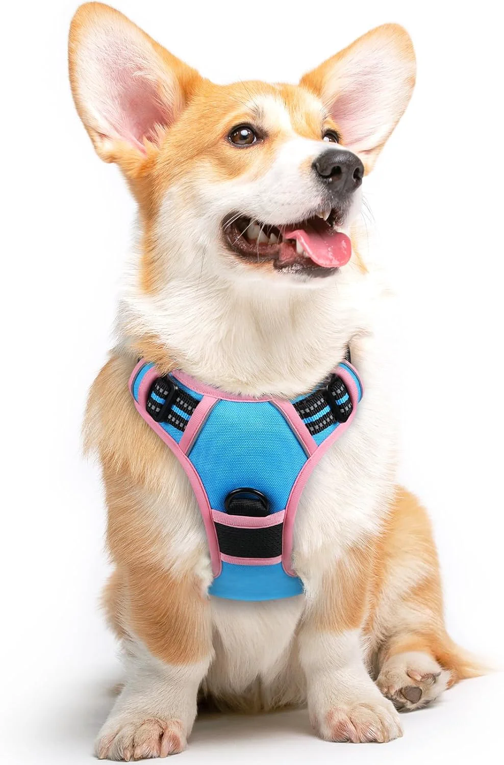 Convenient Eagloo Dog Harness for Large Dogs No Pull Service Vest with Reflective Strips and Control Handle Adjustable and Comfortable for Walking No Choke Harness with 2 Metal Rings Pink Blue M Innovative